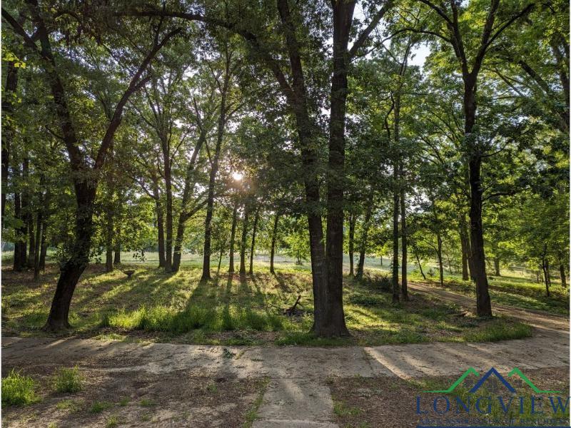 2121 Ironwood Rd, Gilmer, Texas image 4