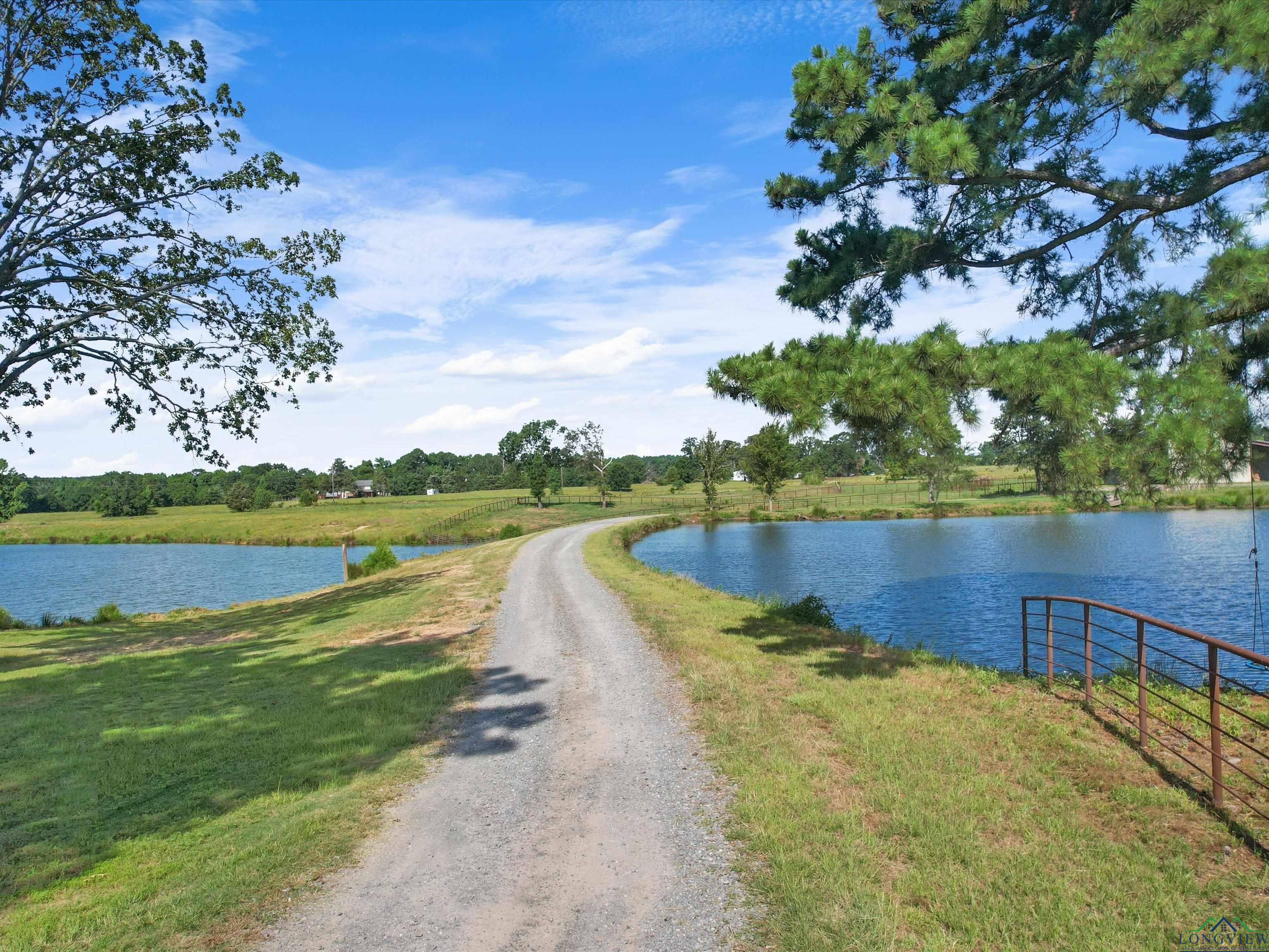 6056 Bob White Rd, Gilmer, Texas image 9