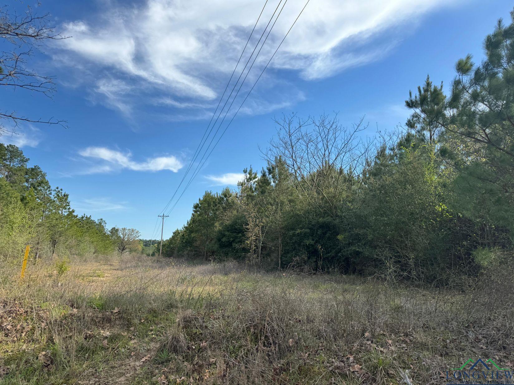 TBD Cr 1619, Linden, Texas image 17