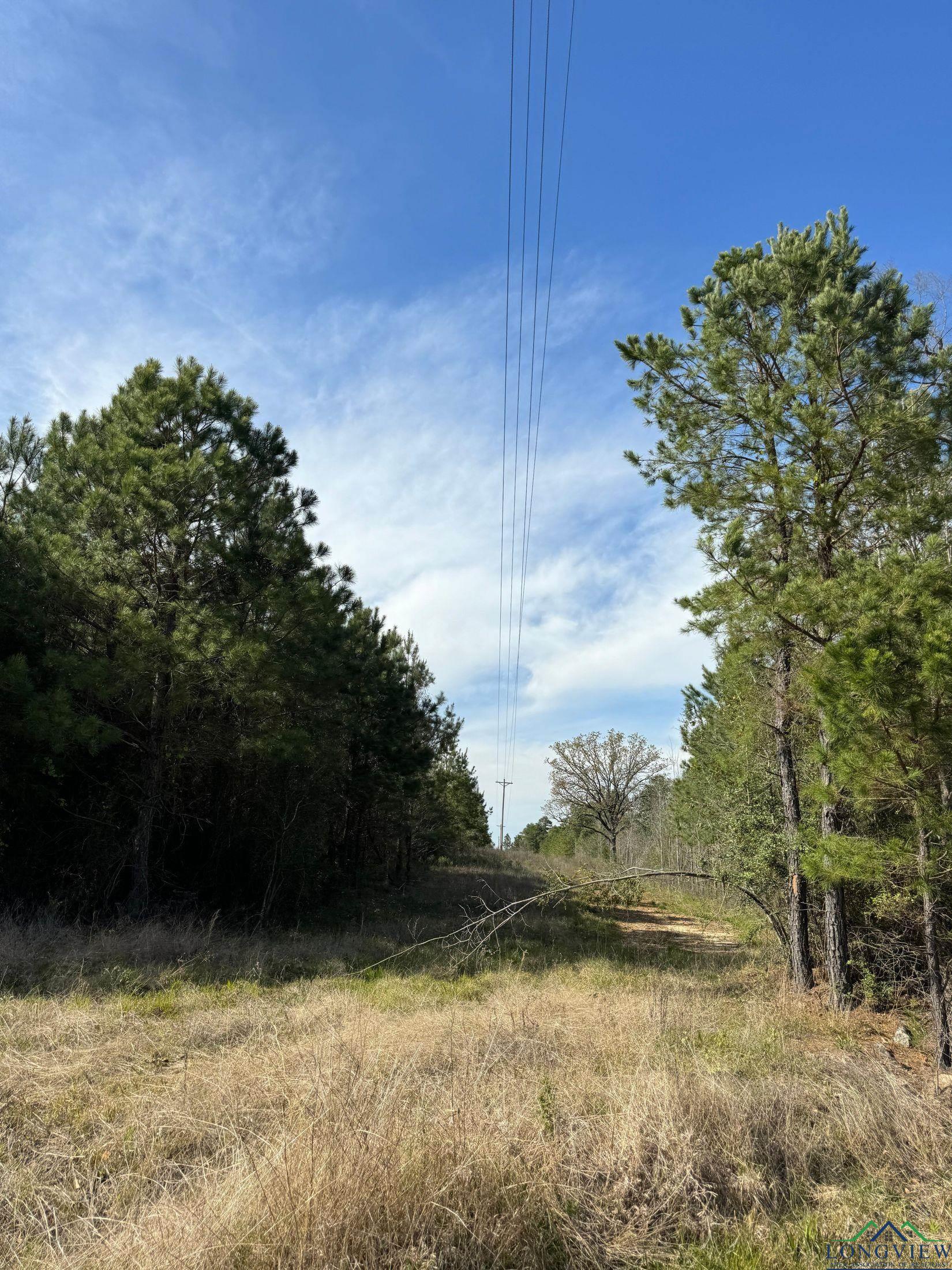 TBD Cr 1619, Linden, Texas image 22