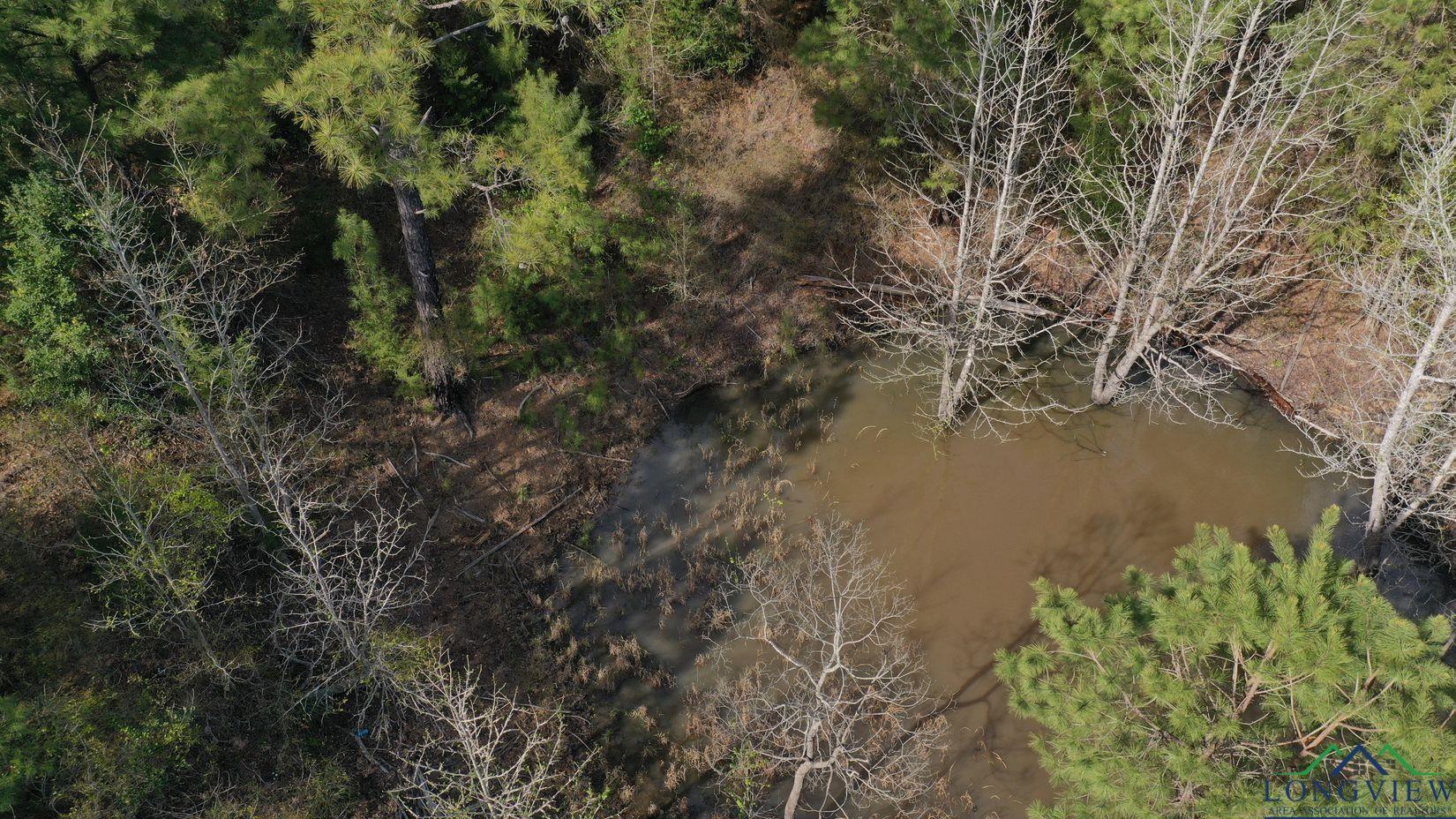 TBD Cr 1619, Linden, Texas image 8