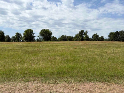 Vacant Land For Sale - TBD Zinnia Rd<br/> Diana, TX 75640
