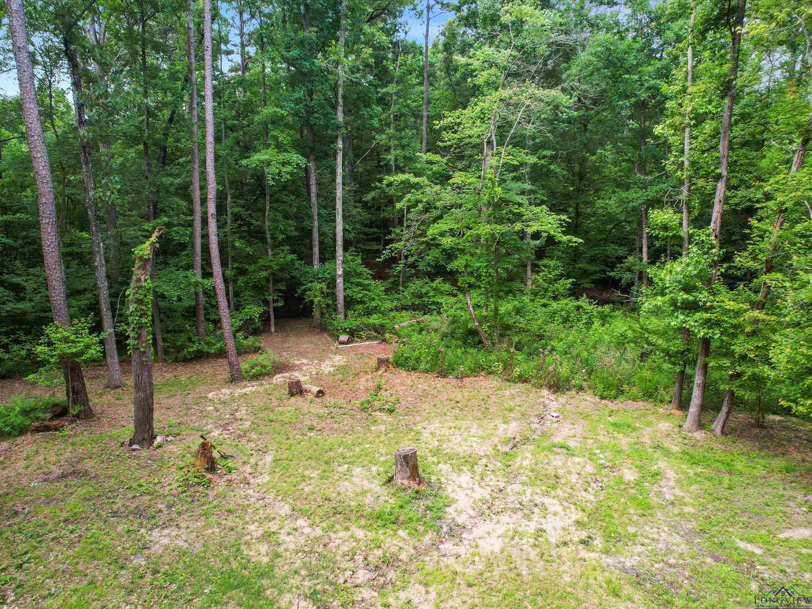 197 Beman Rd, Gladewater, Texas image 10