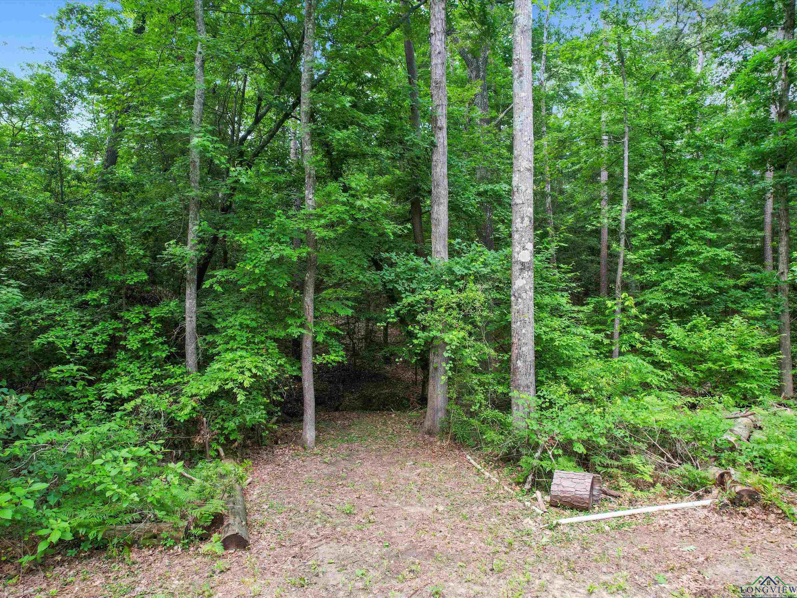197 Beman Rd, Gladewater, Texas image 14