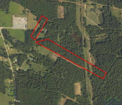 Vacant Land For Sale - TBD Acie Johnson Rd<br/> De Berry, TX 75639