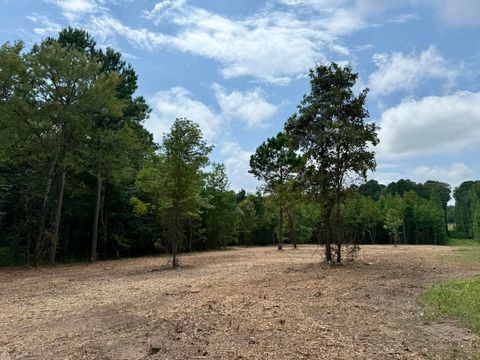 Vacant Land For Sale - TBD County Road 3408<br/> Marion County, Jefferson, TX 75657
