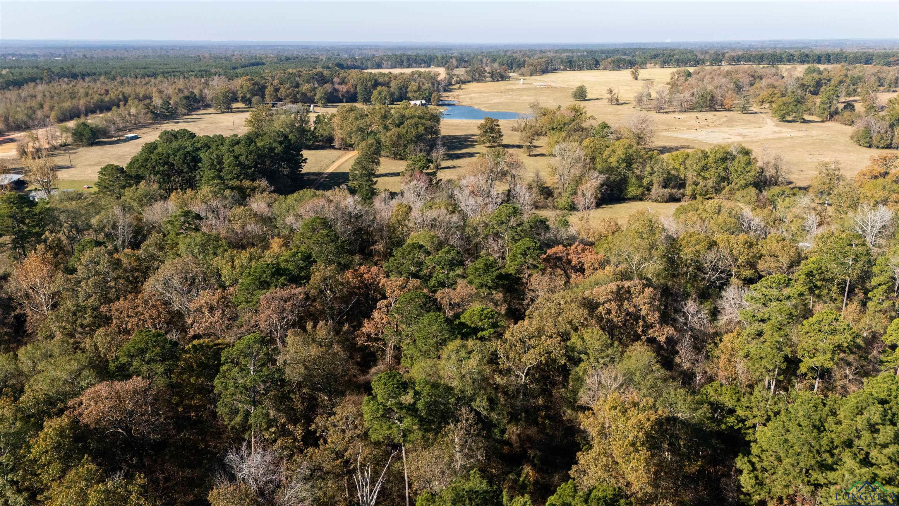 TBD Blocker Rd, Marshall, Texas image 6