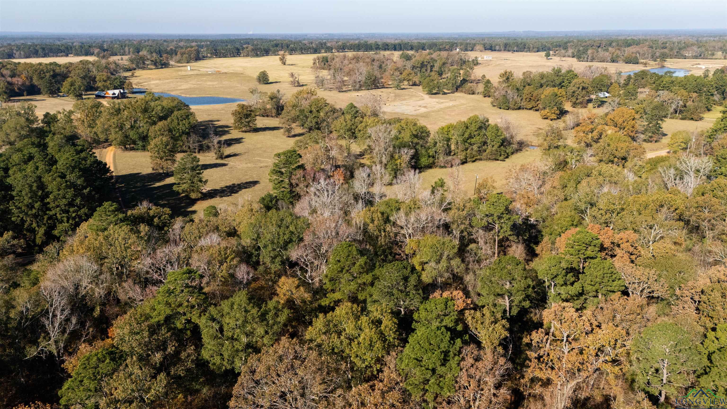 TBD Blocker Rd, Marshall, Texas image 5