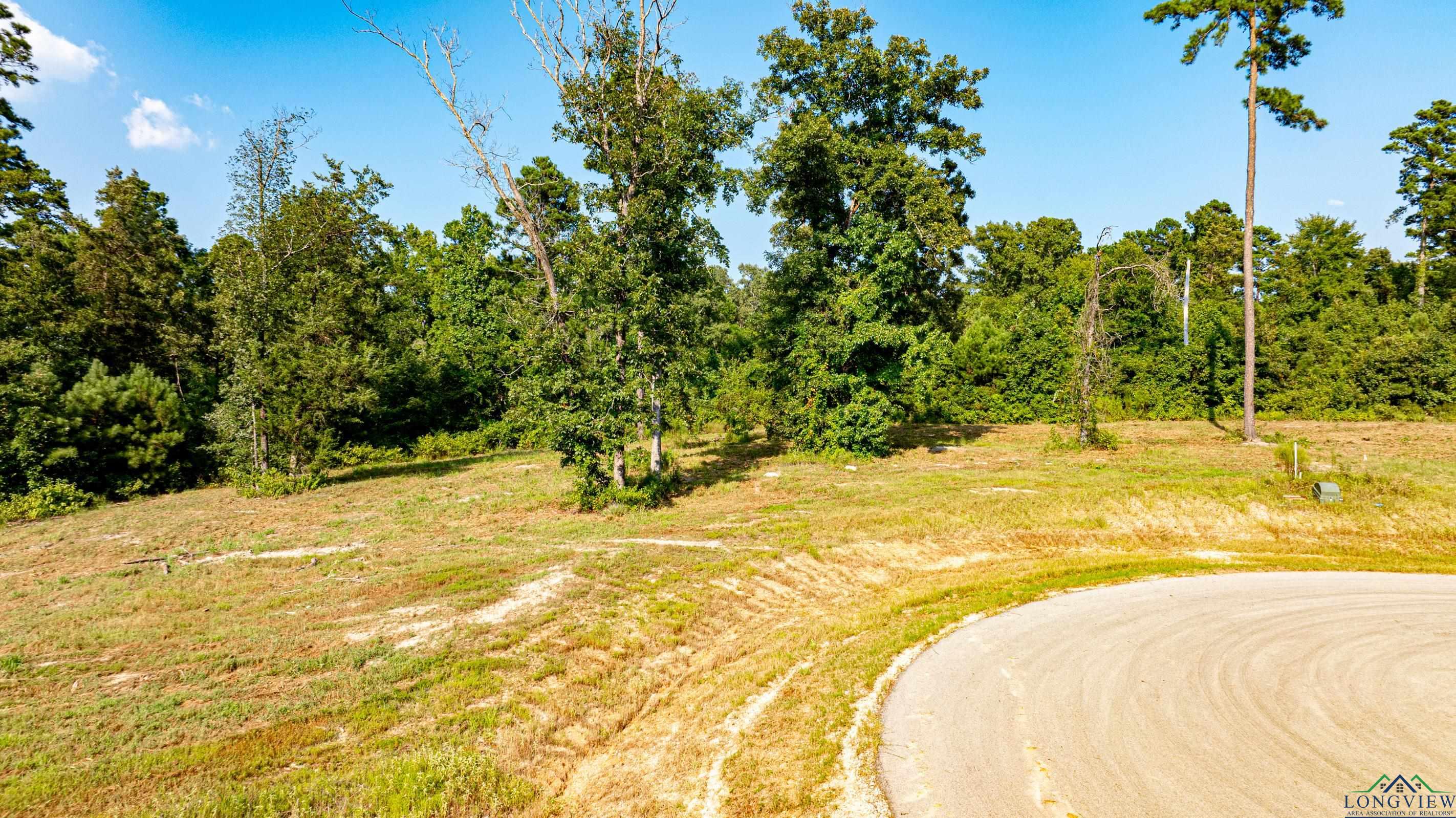 TBD (Lot 46) Marble Way, Hallsville, Texas image 2