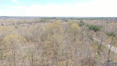 Vacant Land For Sale - TBD Fm 1399<br/> Cass County, Marietta, TX 75566