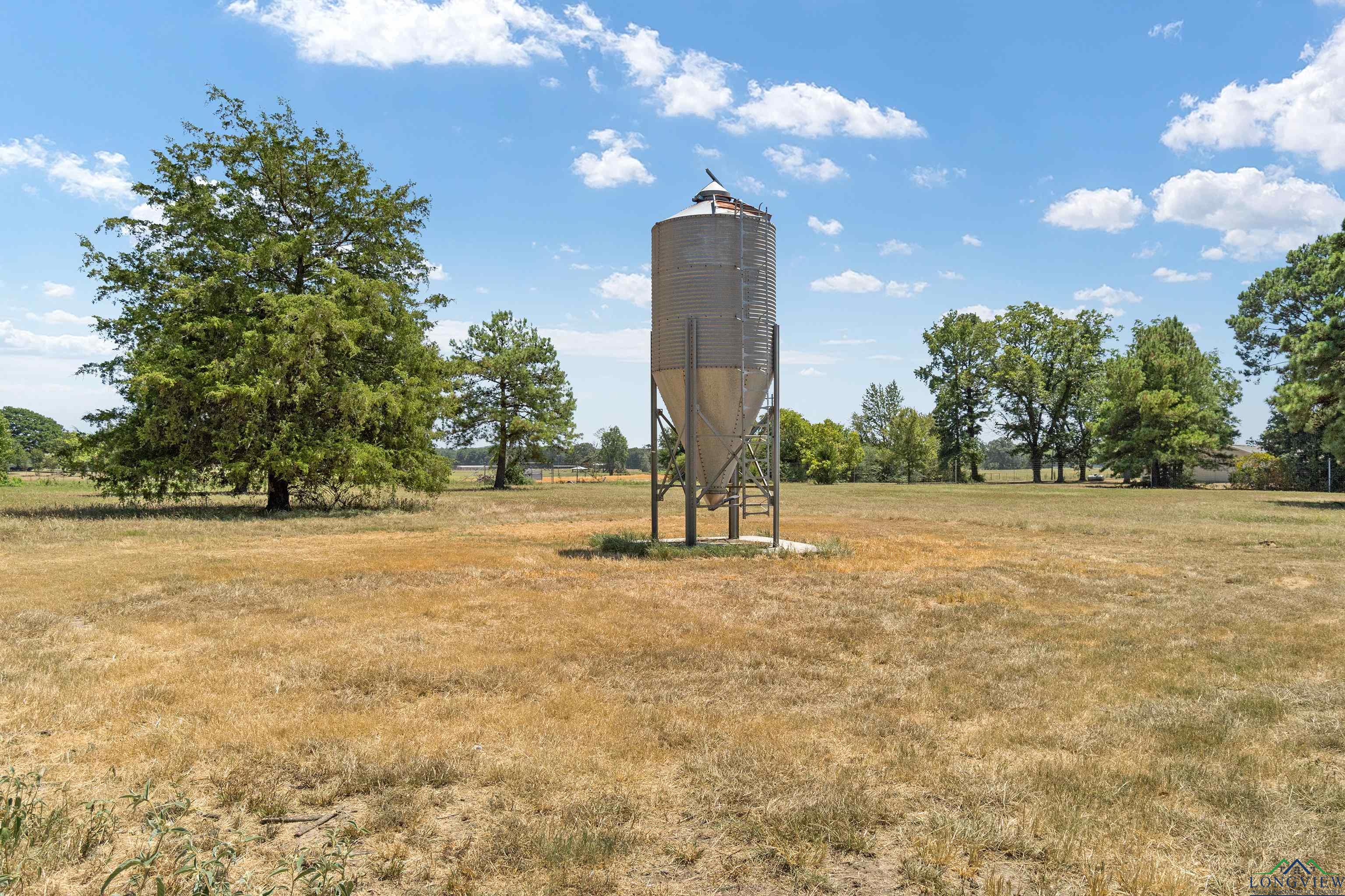 TBD Locust, Gilmer, Texas image 9