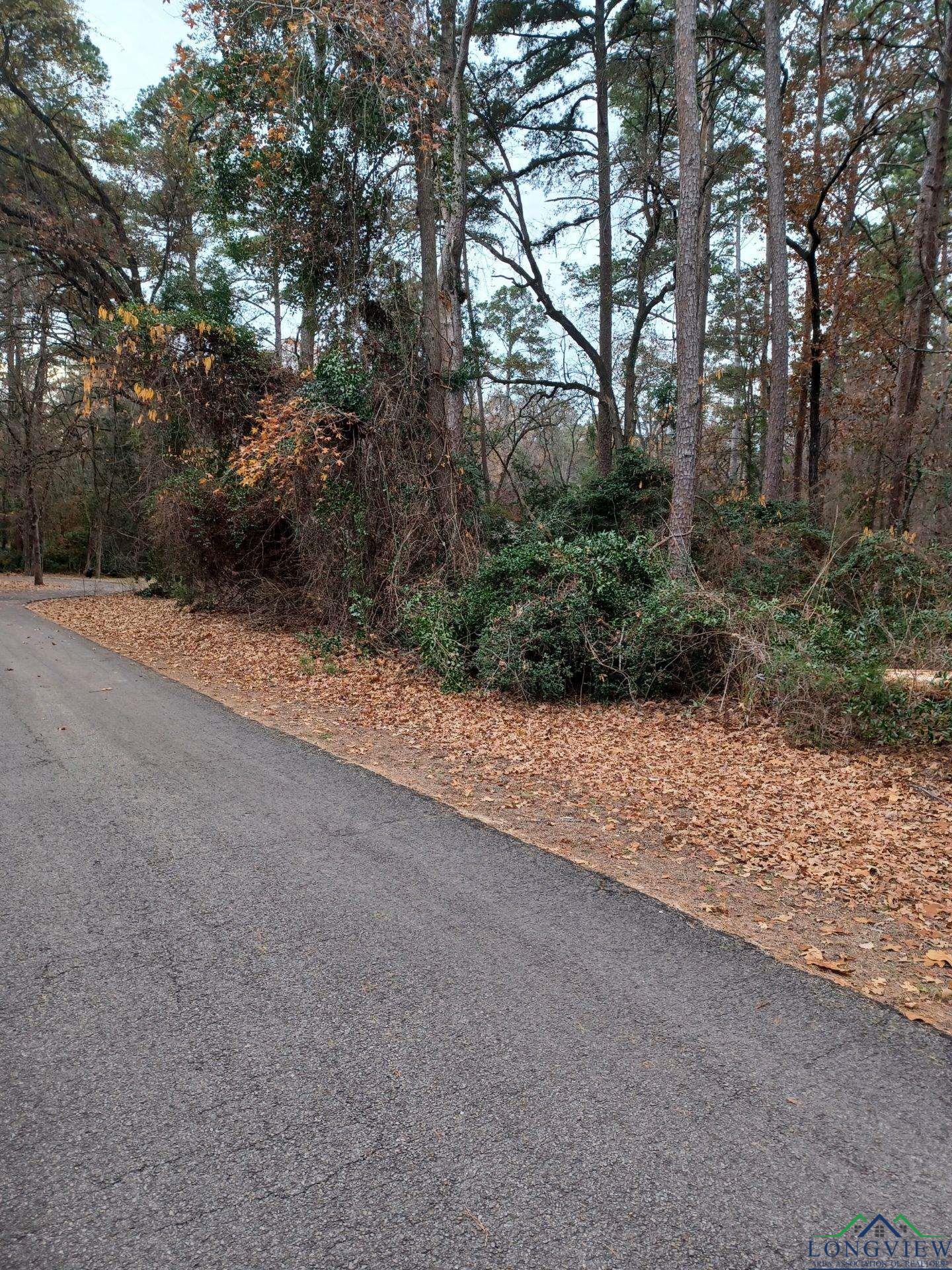 TBD Robin Cove, Holly Lake Ranch, Texas image 2