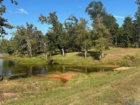 Vacant Land For Sale - LOT 19 Boulder Ct<br/> Hallsville, TX 75650