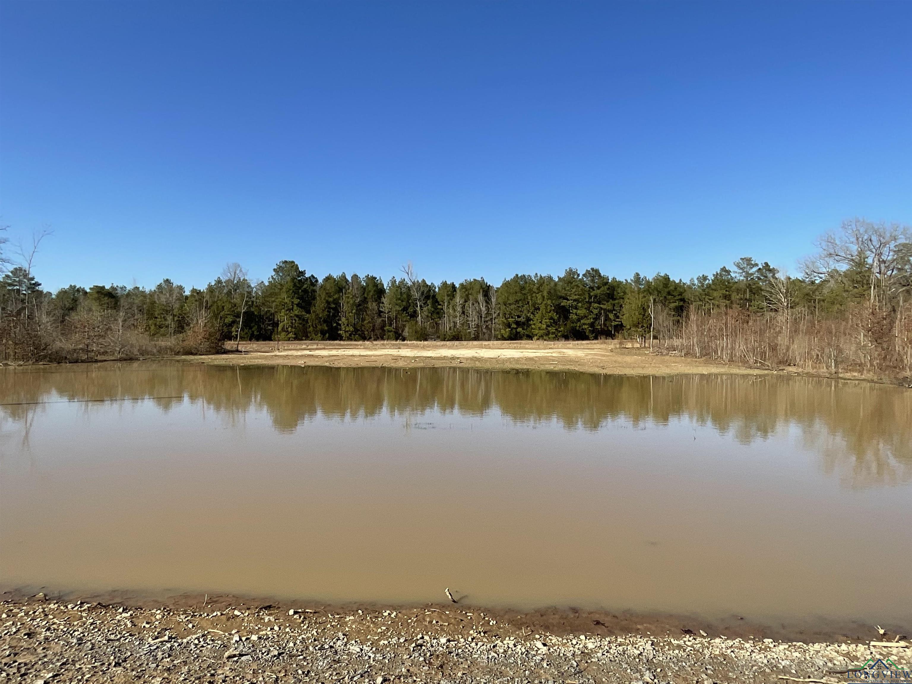 TBD Lot 18 El Rancho Rojas Road, Marshall, Texas image 10