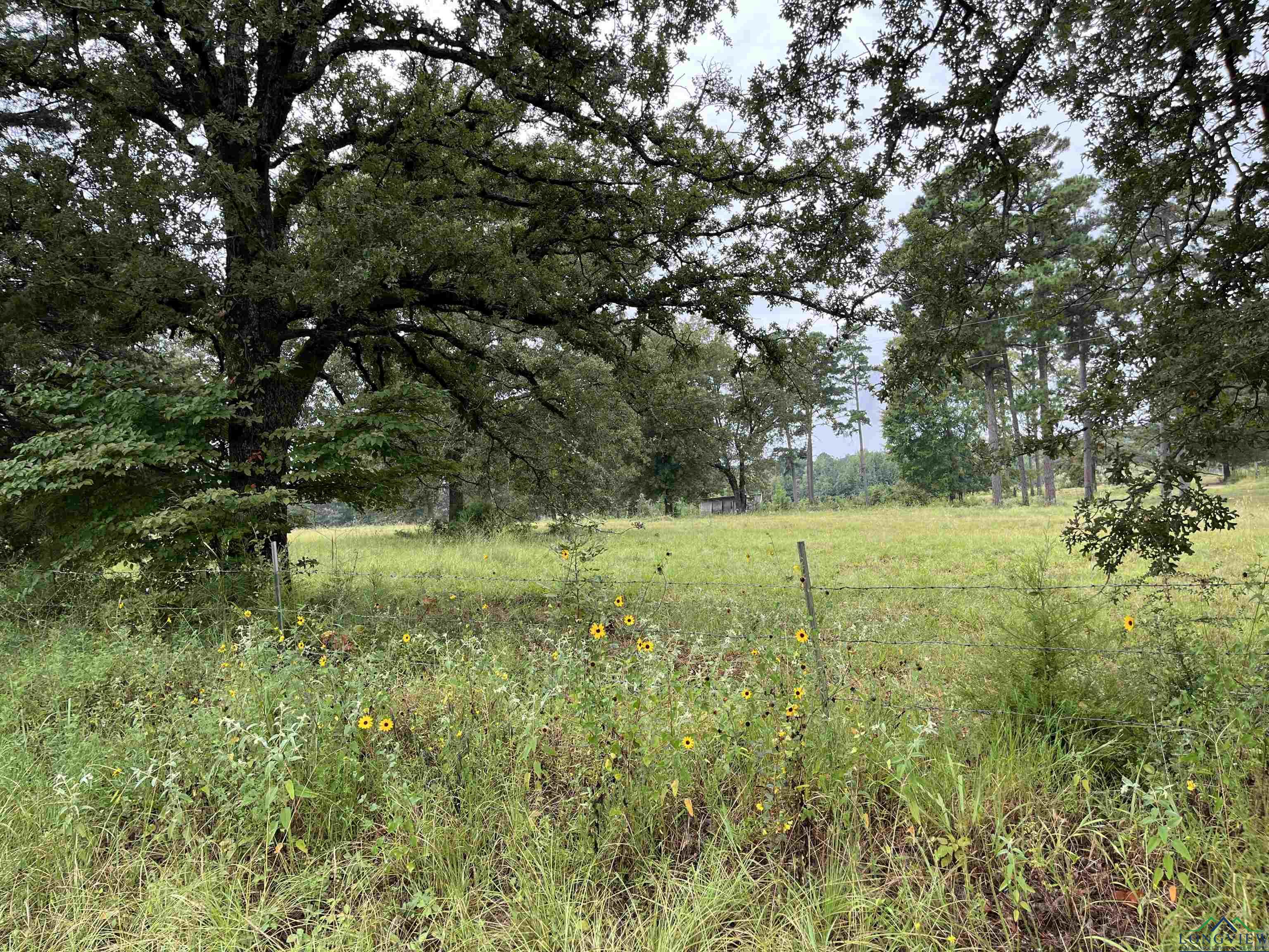 000 Shady Grove Road, Jefferson, Texas image 6