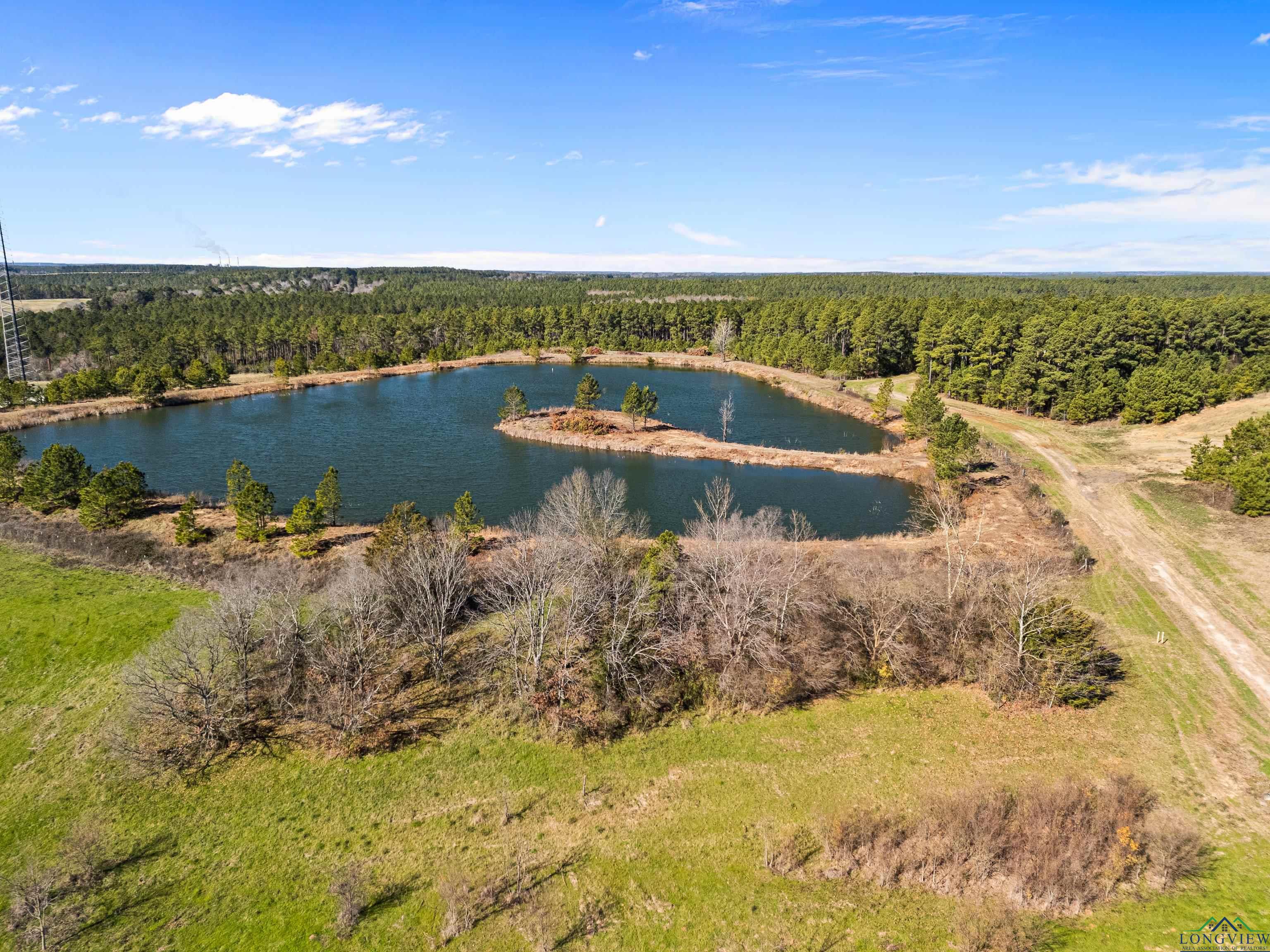 TBD Cr 257 Road, Beckville, New Mexico image 16