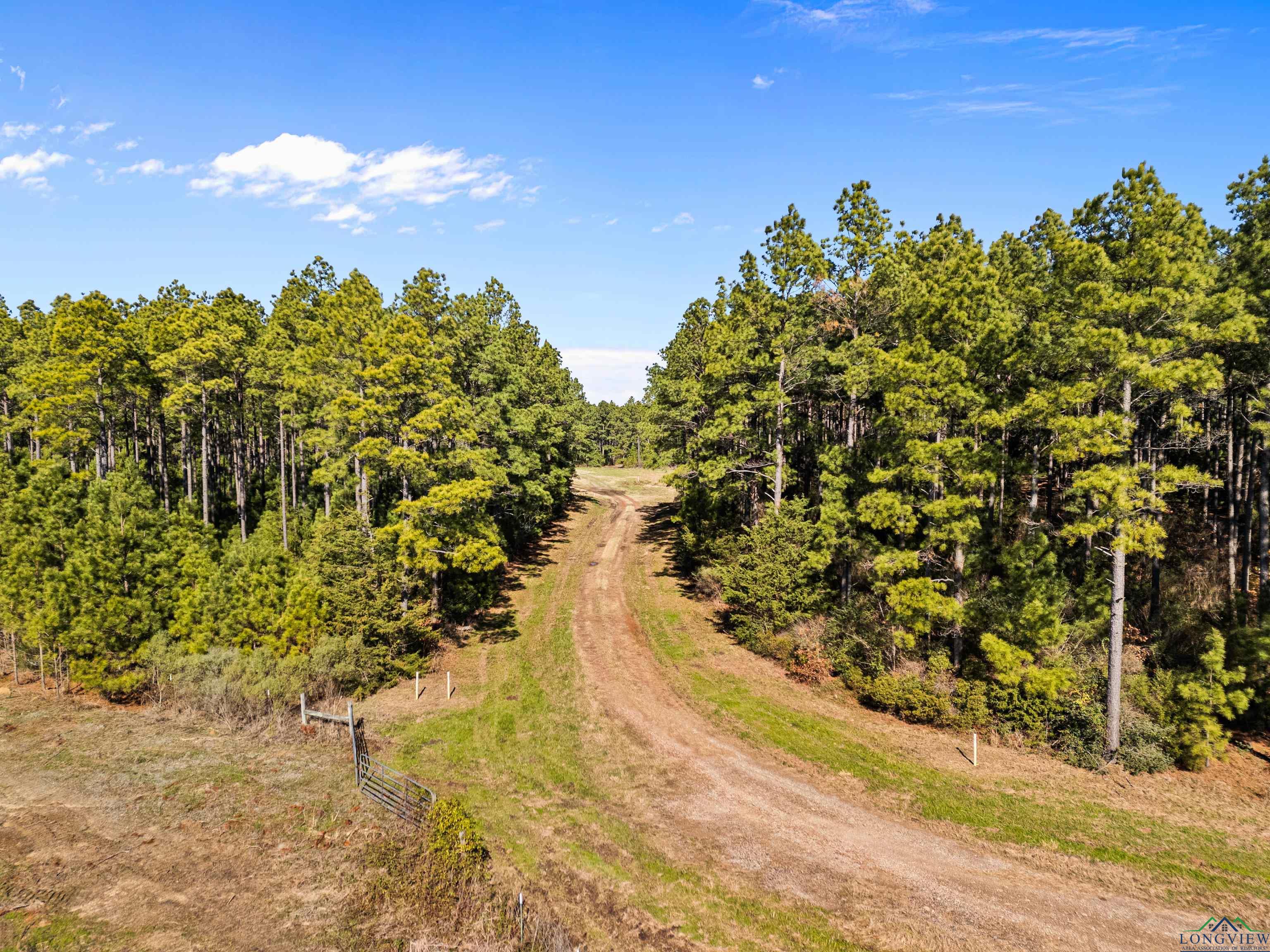 TBD Cr 257 Road, Beckville, New Mexico image 20