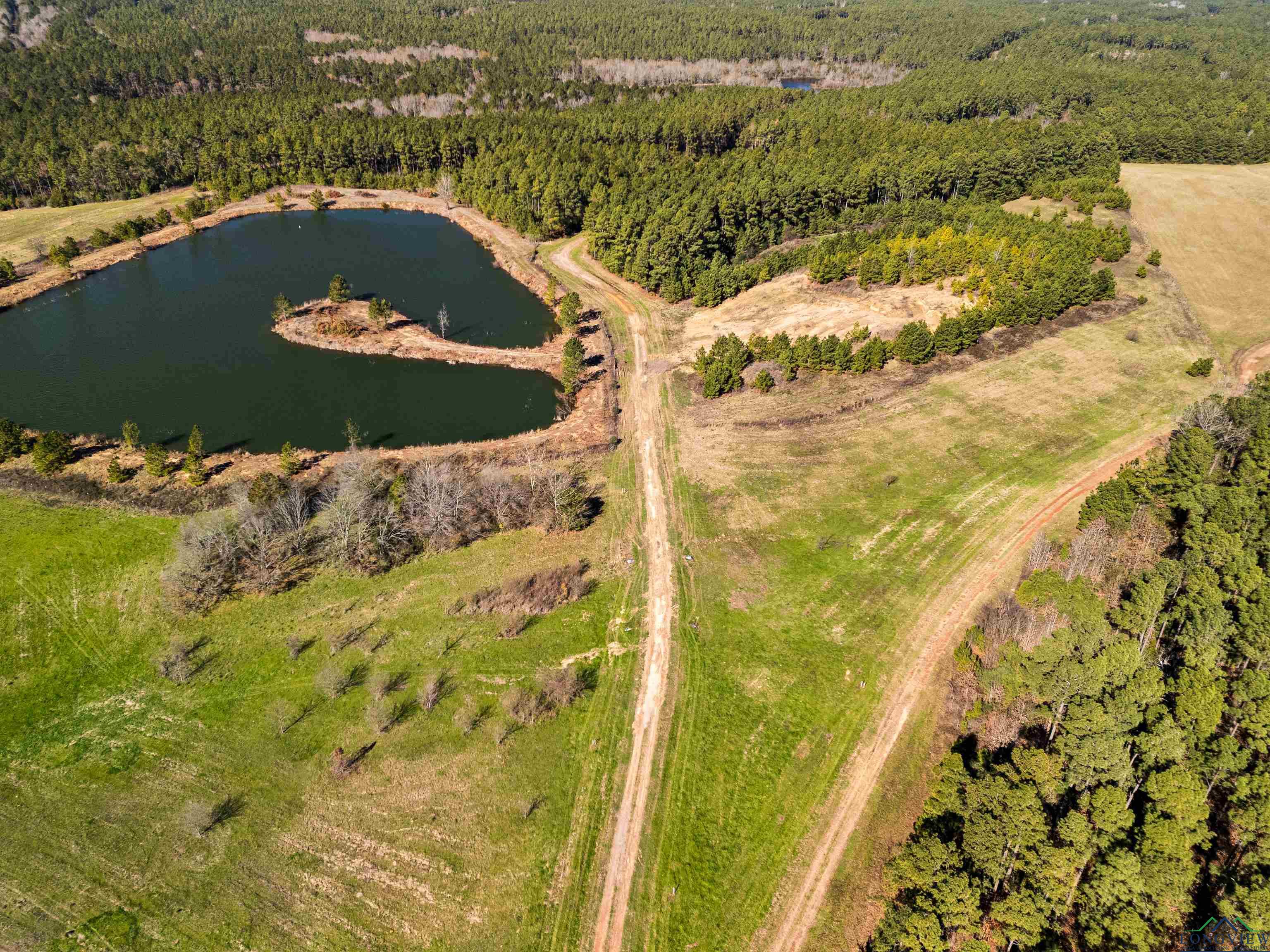 TBD Cr 257 Road, Beckville, New Mexico image 15