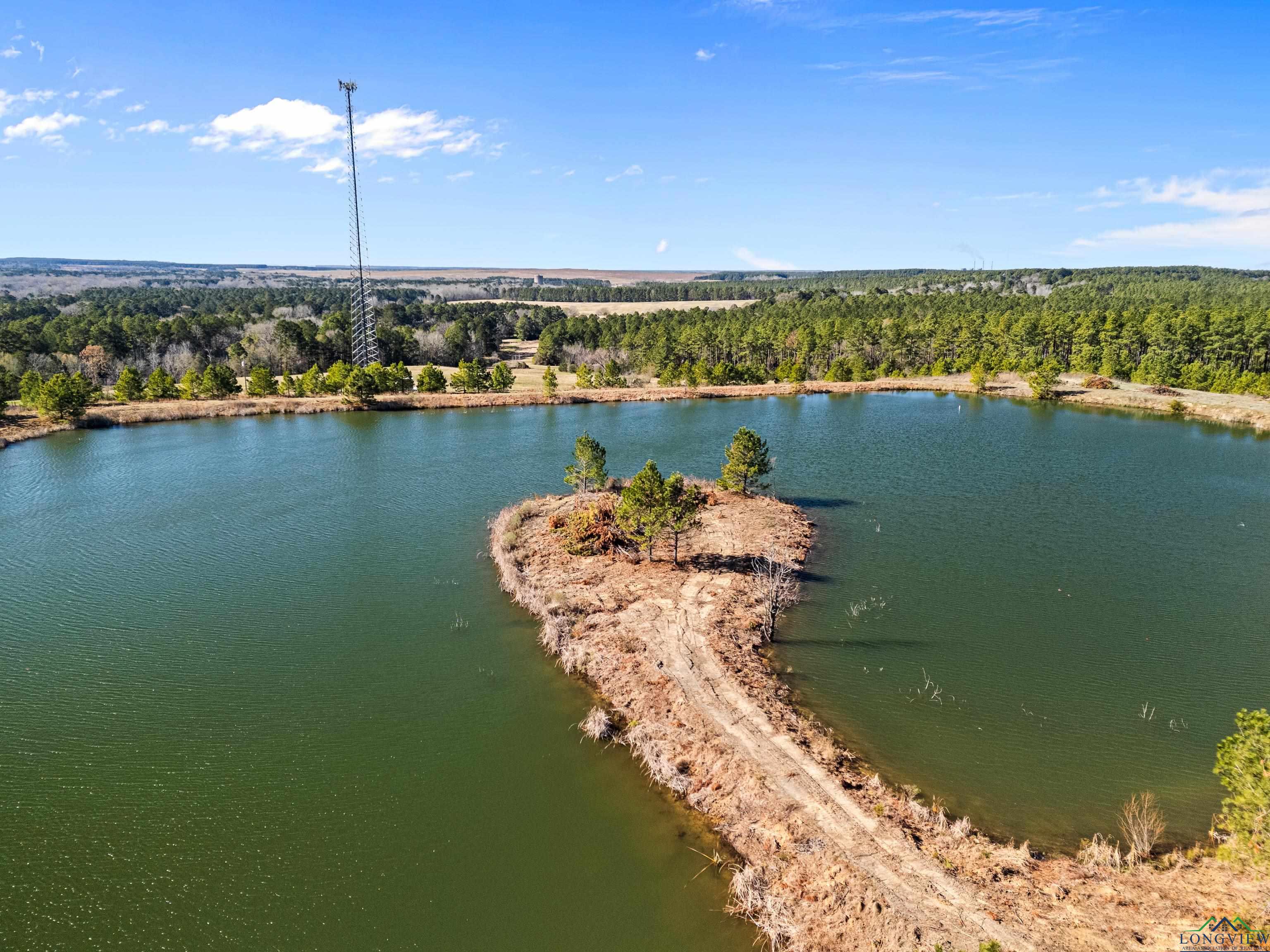 TBD Cr 257 Road, Beckville, New Mexico image 17