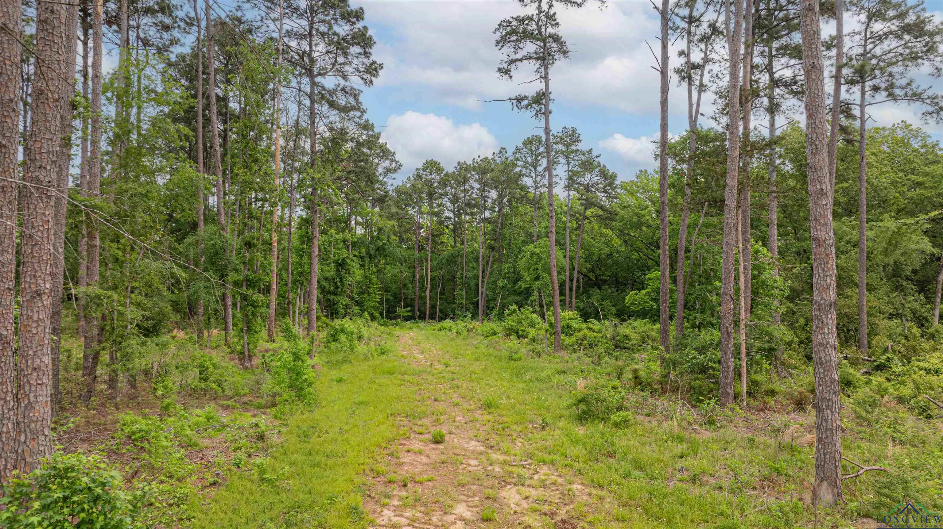 502 Hillcrest, Hughes Springs, Texas image 35