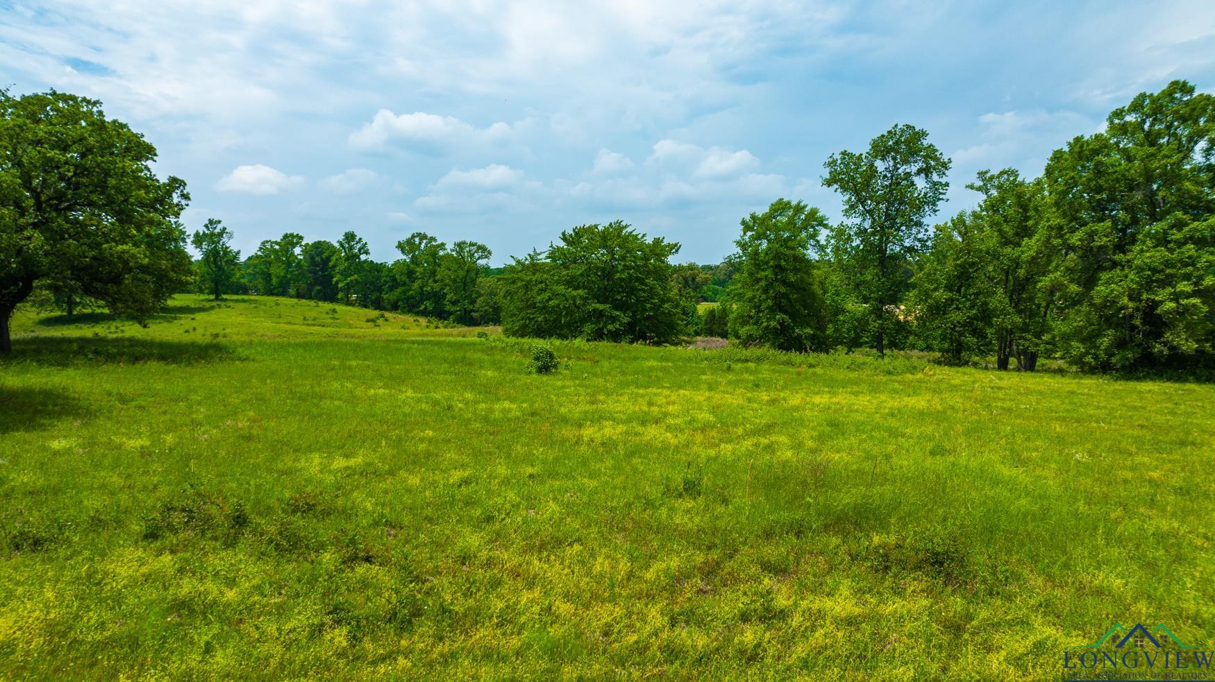 Tbd Fm 3358, Gilmer, Texas image 16