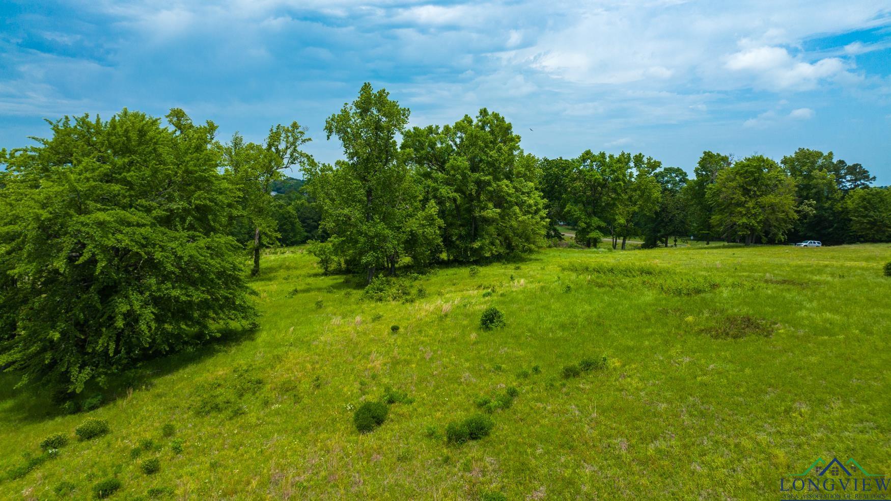 Tbd Fm 3358, Gilmer, Texas image 27