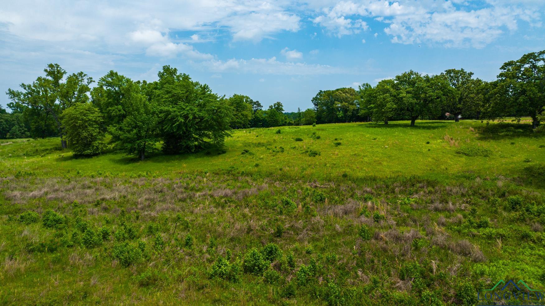 Tbd Fm 3358, Gilmer, Texas image 25