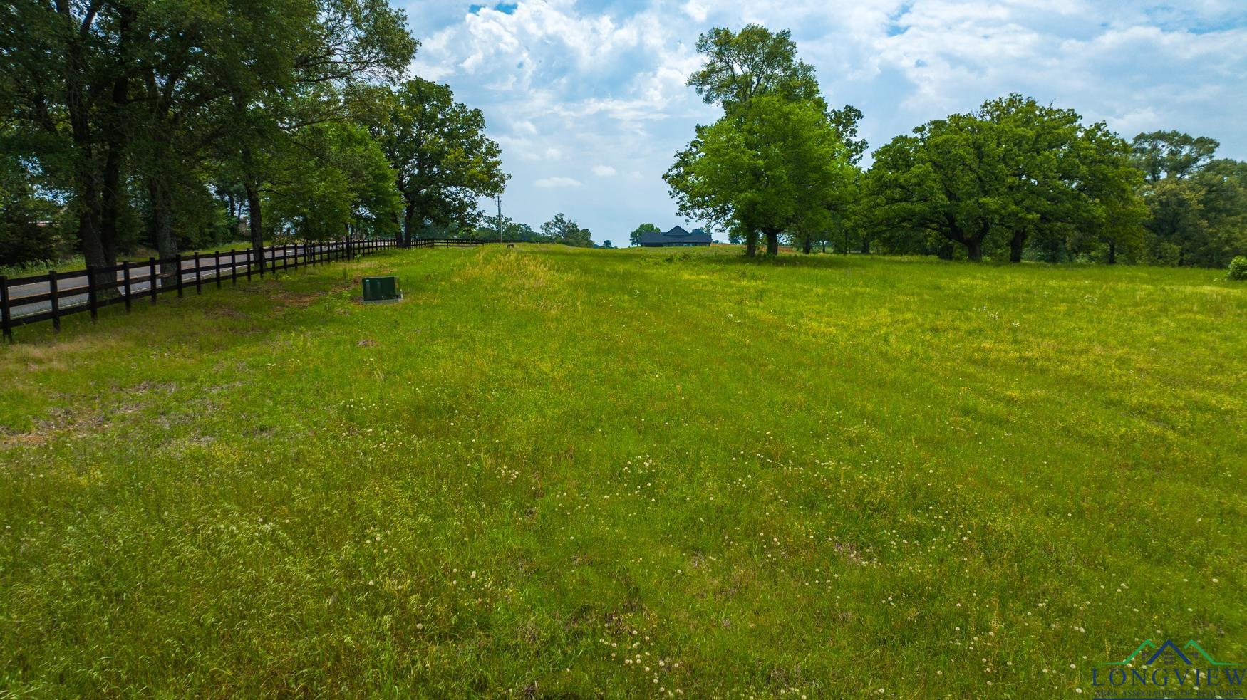 Tbd Fm 3358, Gilmer, Texas image 29