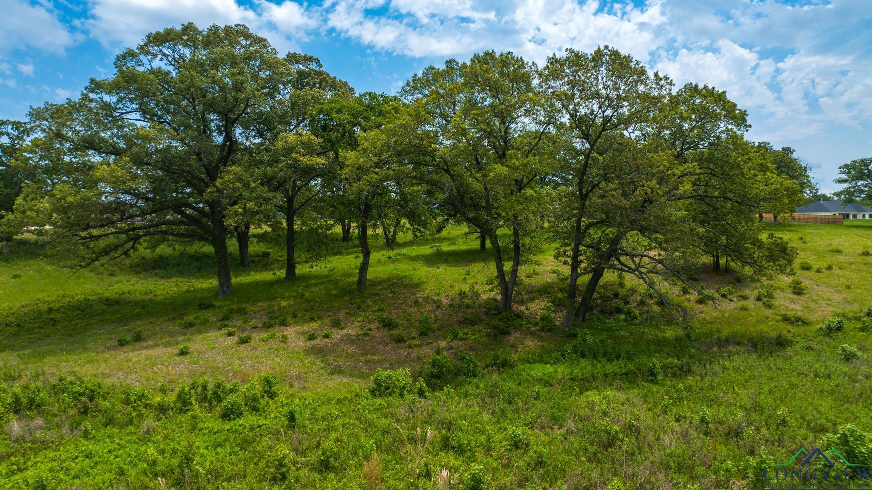 Tbd Fm 3358, Gilmer, Texas image 26