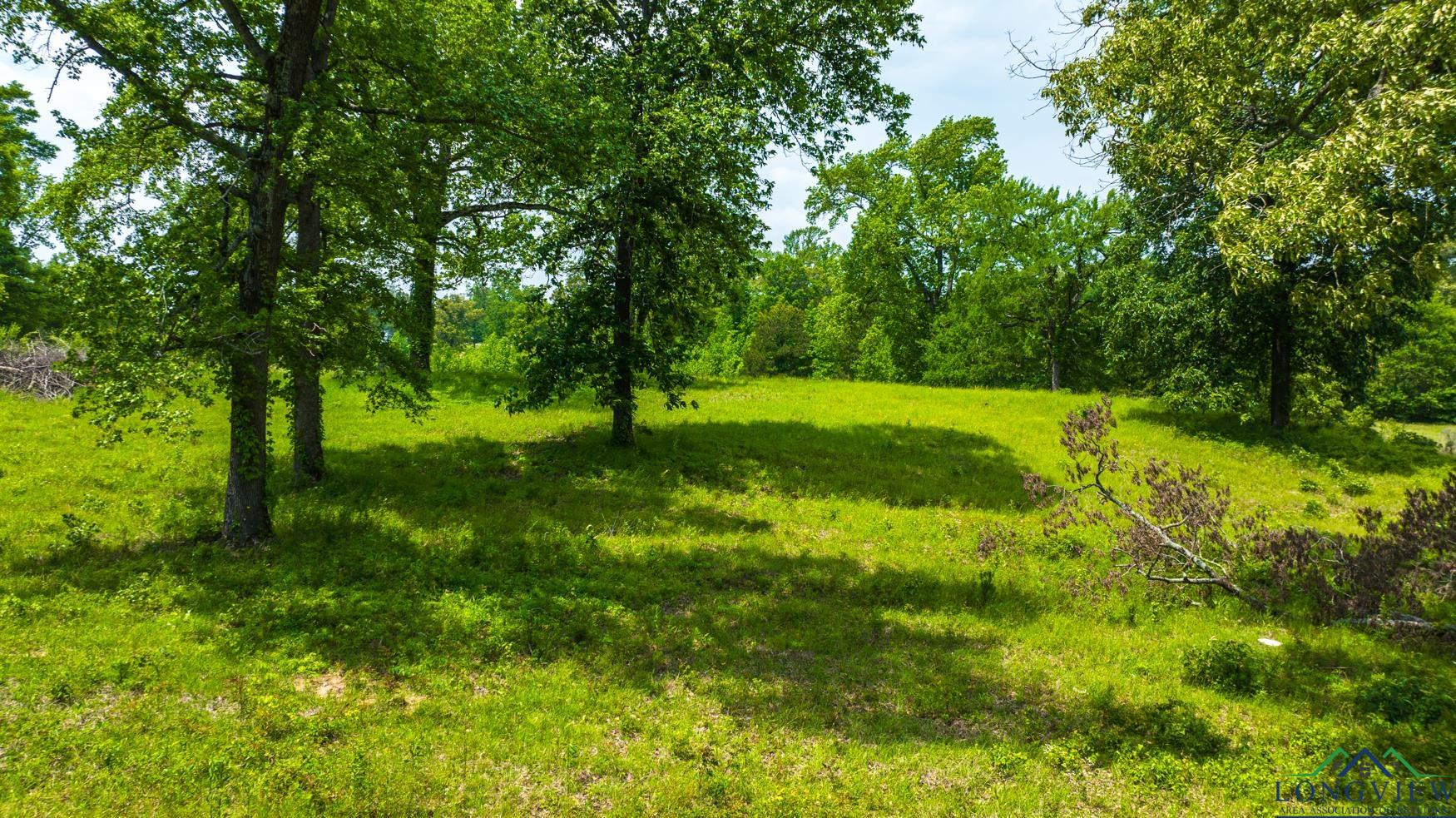 Tbd Fm 3358, Gilmer, Texas image 17