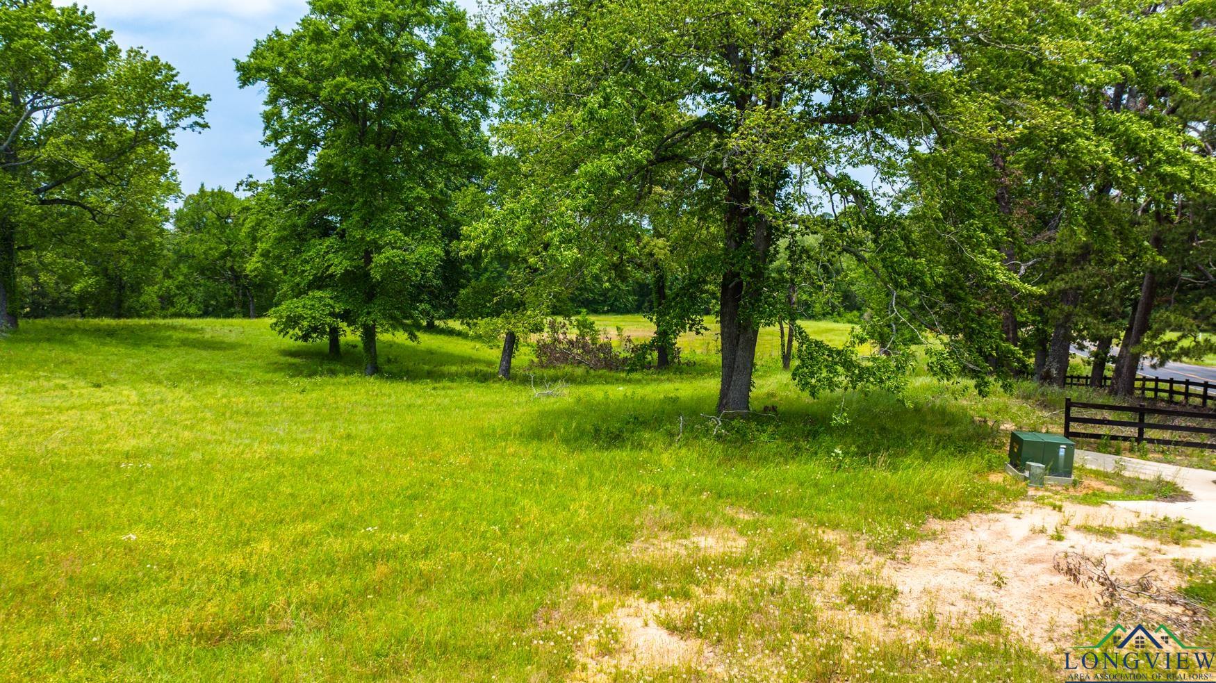 Tbd Fm 3358, Gilmer, Texas image 30