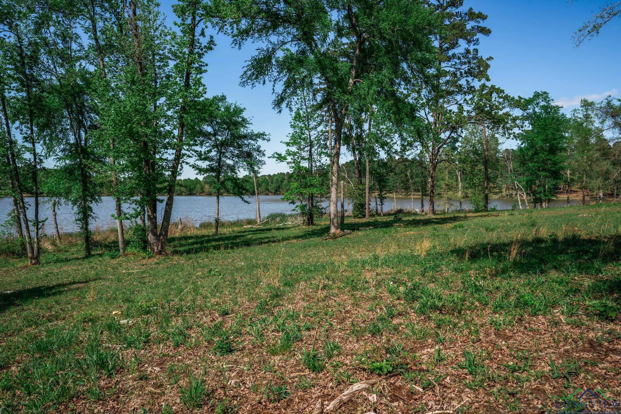 LT 24 Boulder Ct, Hallsville, Texas image 23