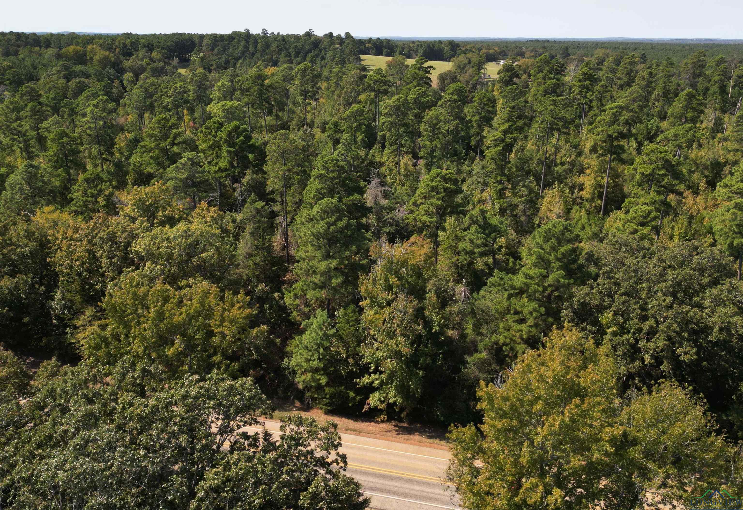 TBD Tx Hwy 43, Bivins, Texas image 7