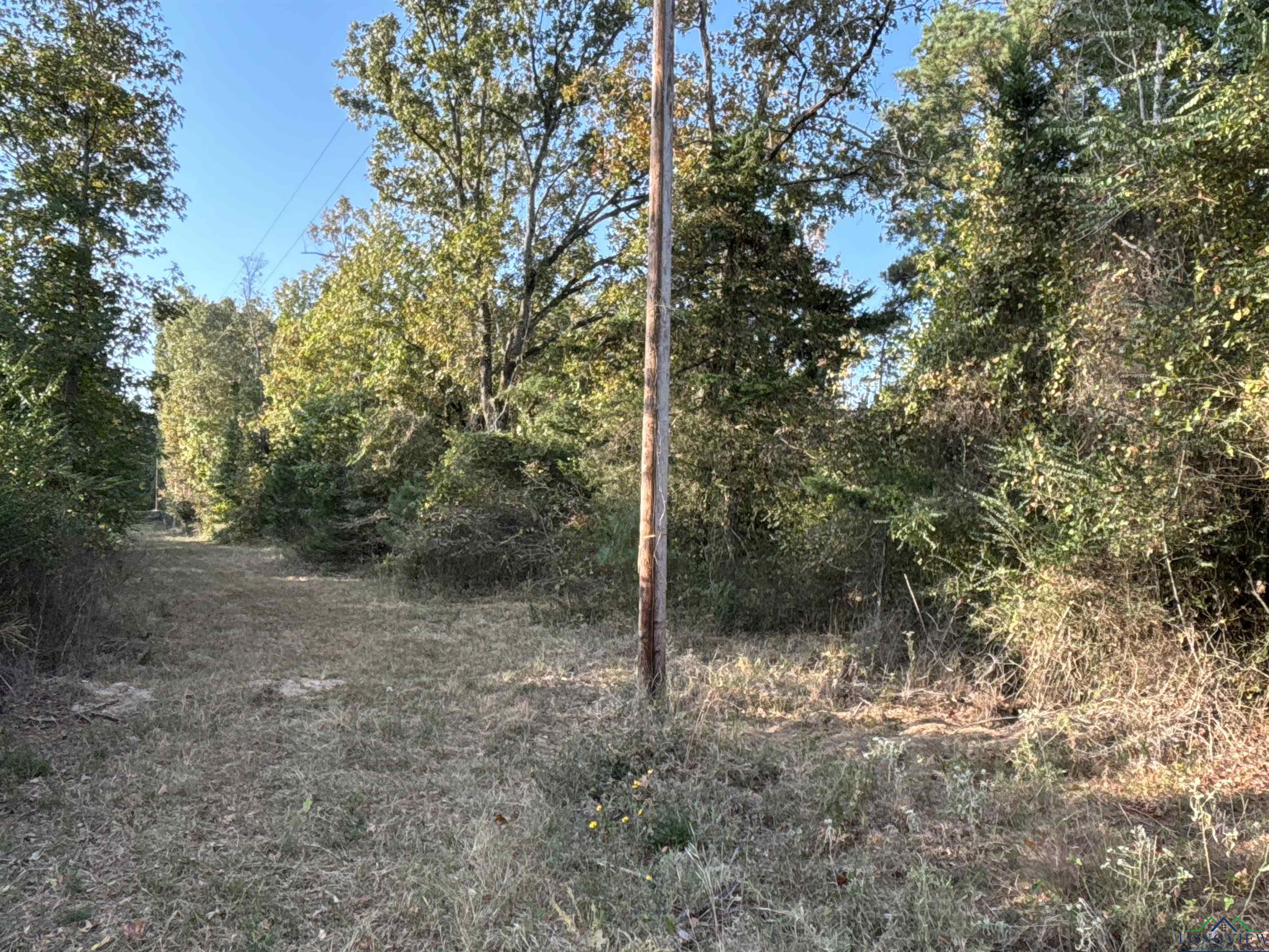 TBD Tx Hwy 43, Bivins, Texas image 8