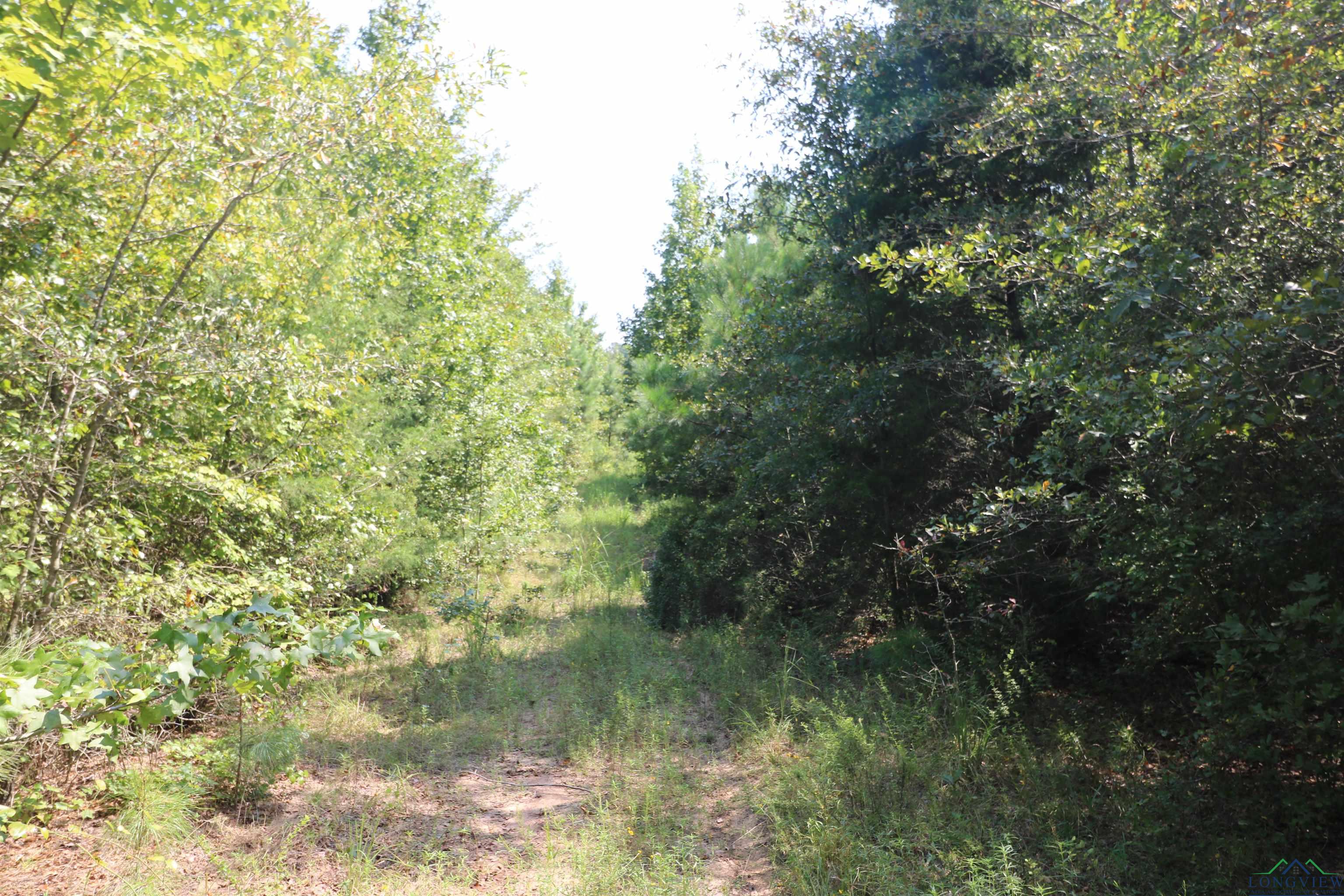 TBD Lot 2 Cr 2204 D & Fm 1797, Tatum, Texas image 17