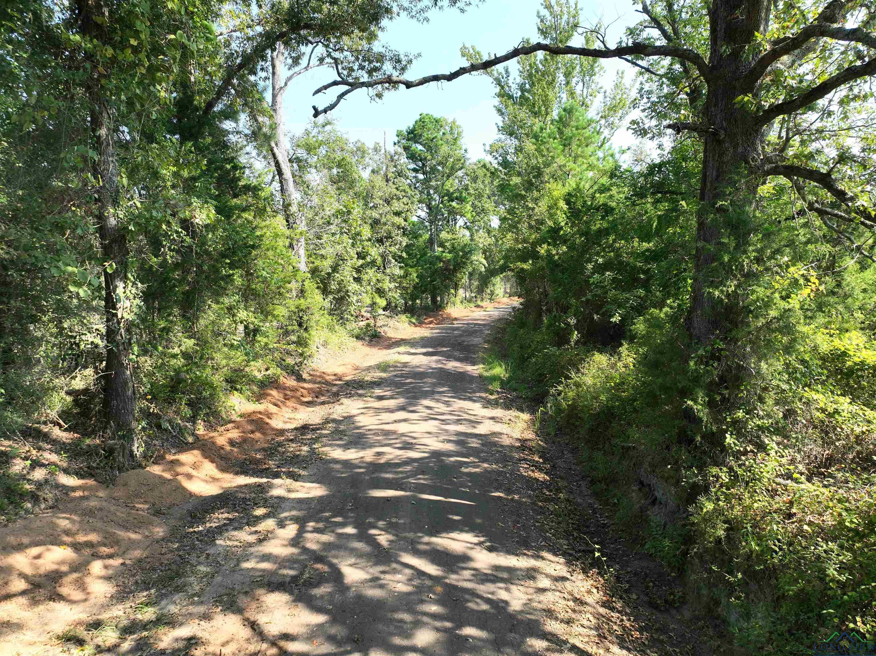 TBD Lot 2 Cr 2204 D & Fm 1797, Tatum, Texas image 9