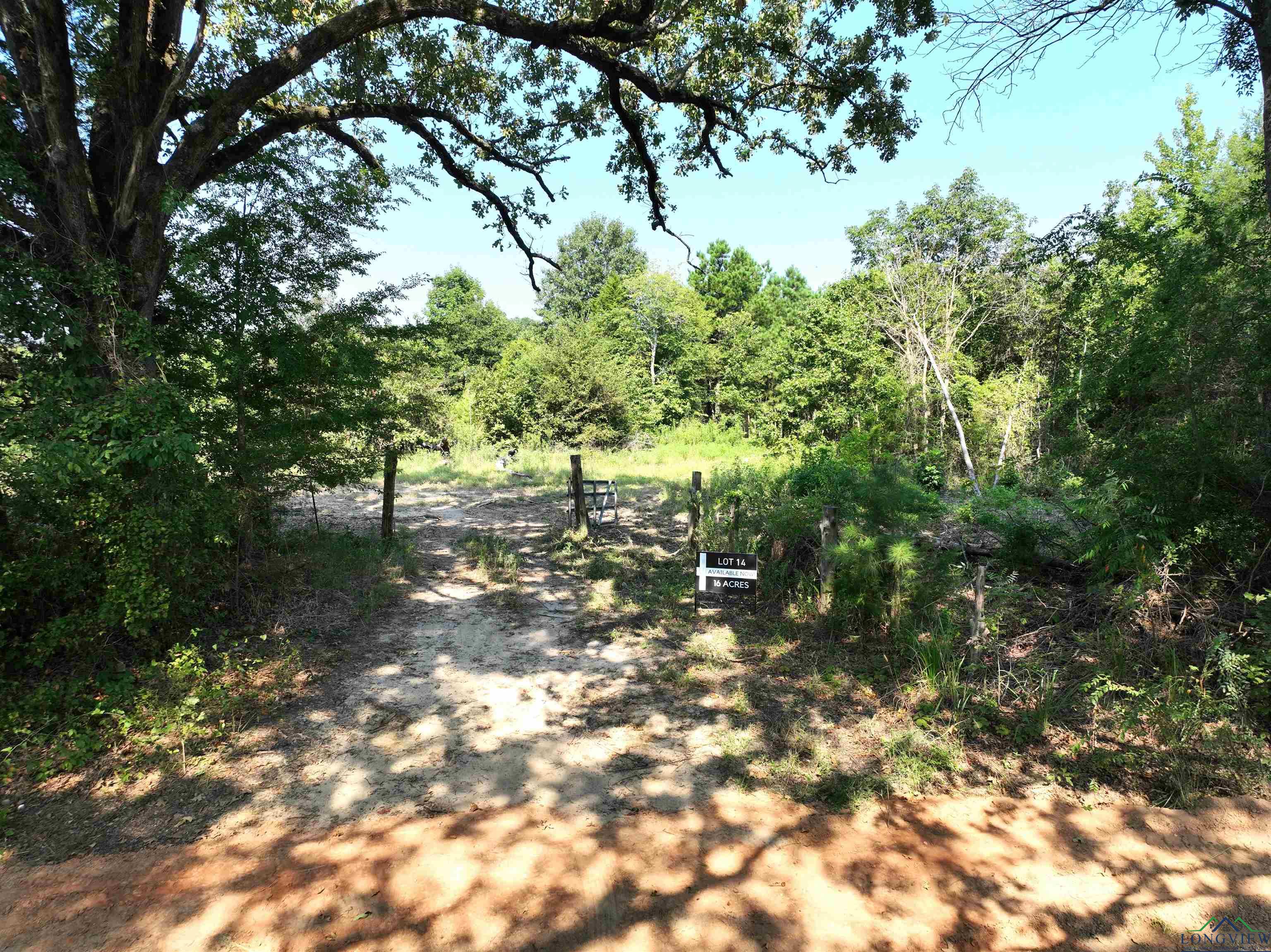 TBD Lot 2 Cr 2204 D & Fm 1797, Tatum, Texas image 8