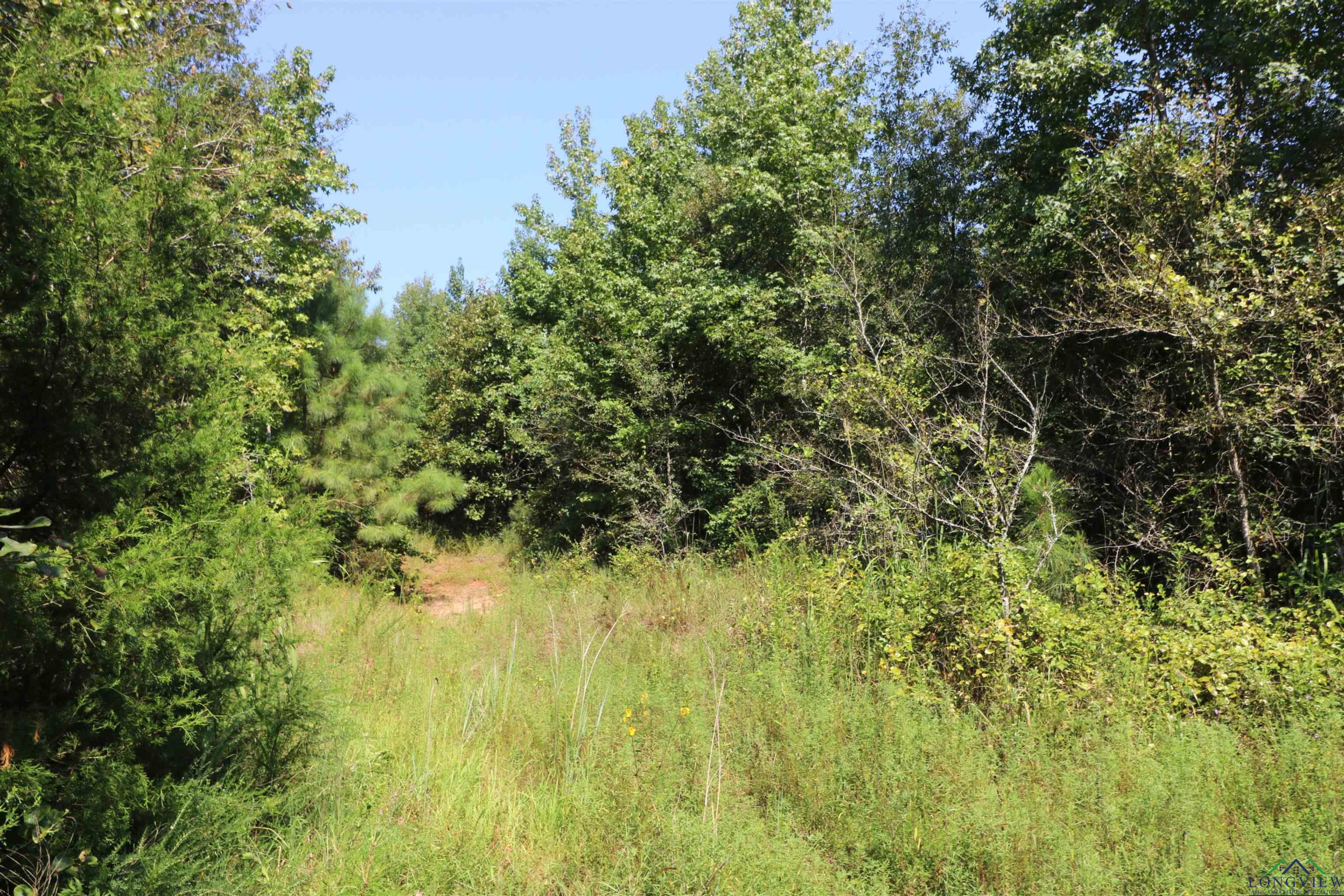 TBD Lot 2 Cr 2204 D & Fm 1797, Tatum, Texas image 16