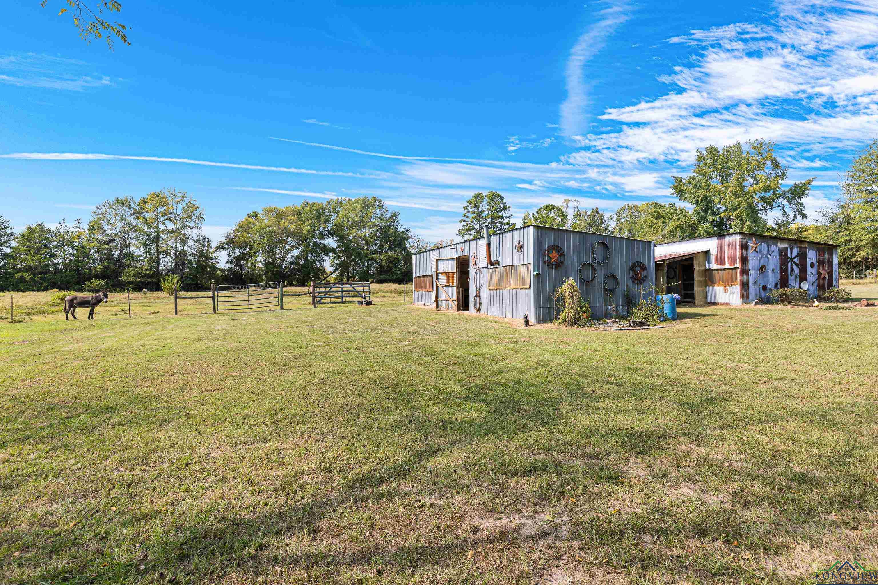 16207 S Cr 3167, Mount Enterprise, Texas image 30