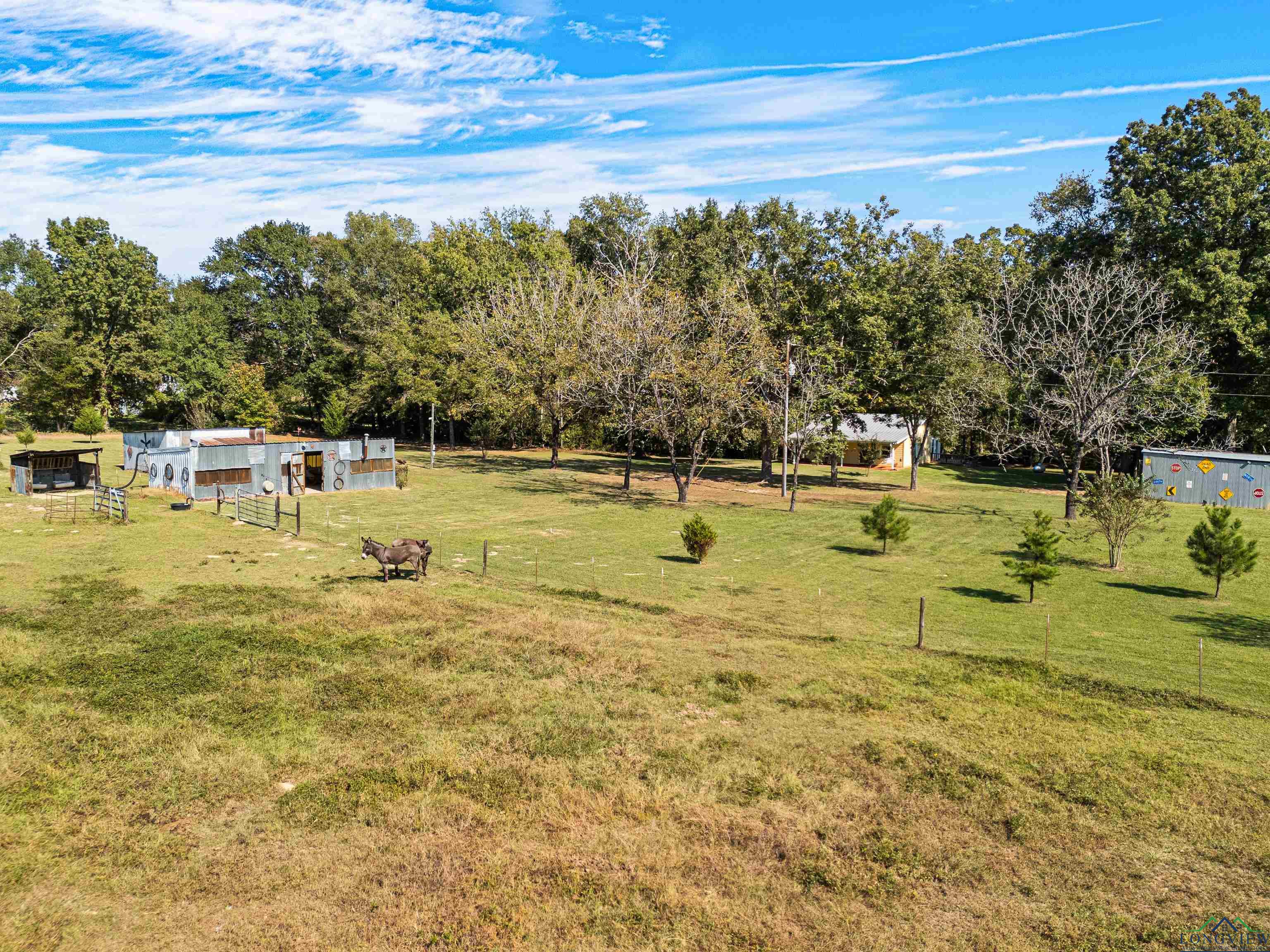 16207 S Cr 3167, Mount Enterprise, Texas image 29