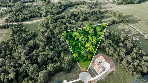 Vacant Land For Sale - TBD Ridgeway Ct<br/> Winona, TX 75792