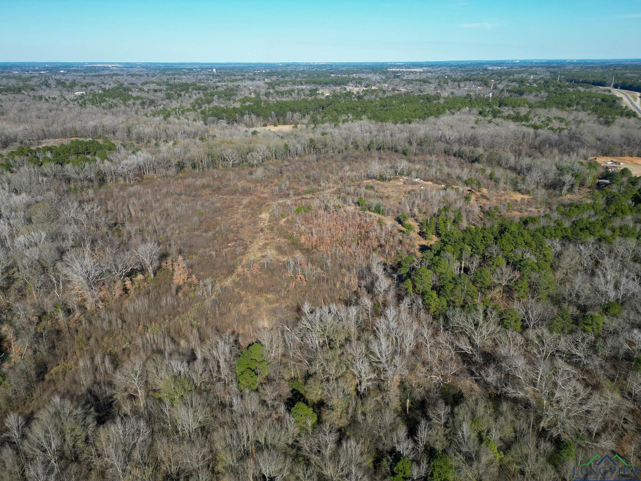 TBD U.s. Hwy 259, Kilgore, Texas image 5