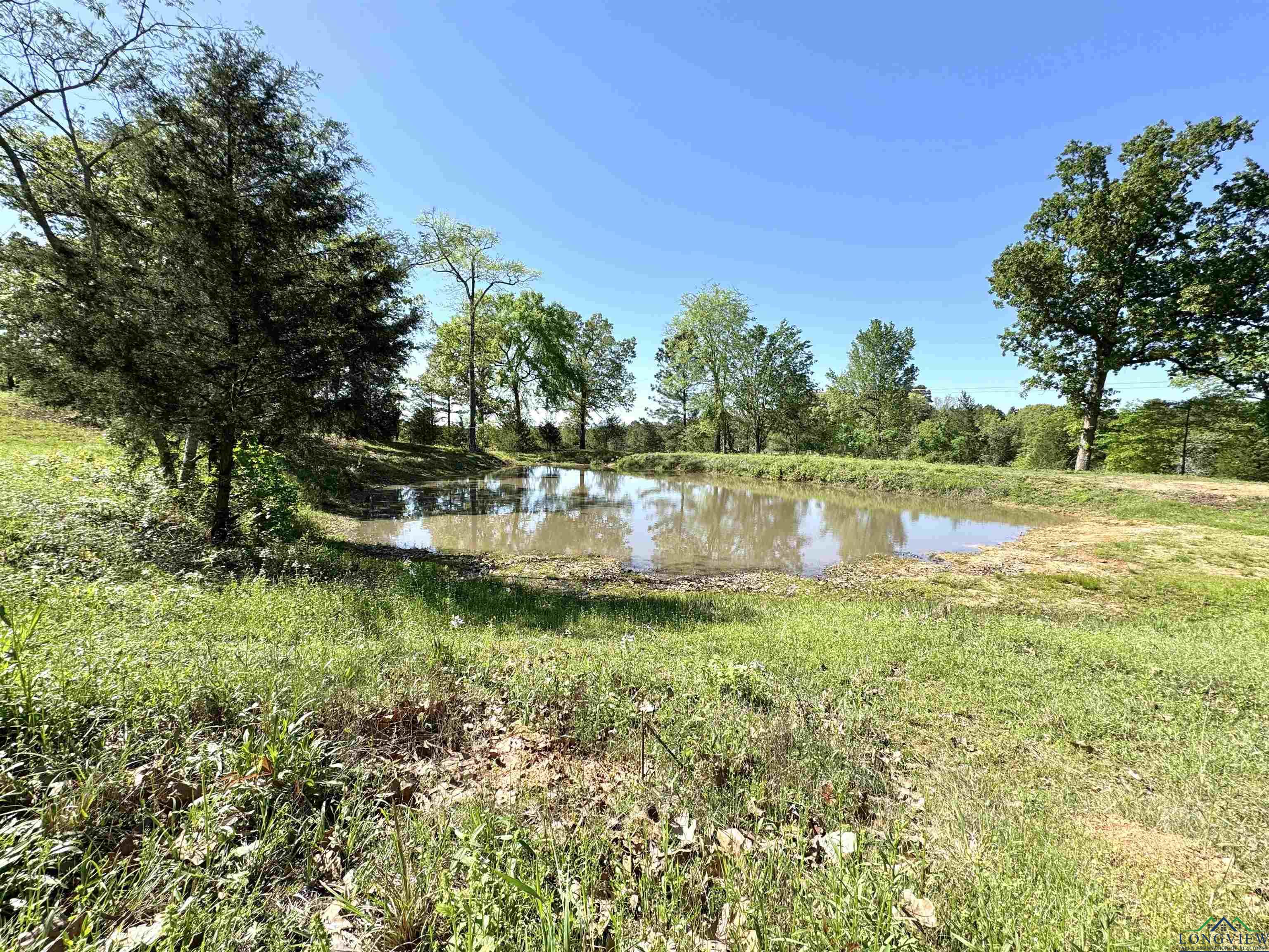 12151 N Fm 782, Henderson, Texas image 16