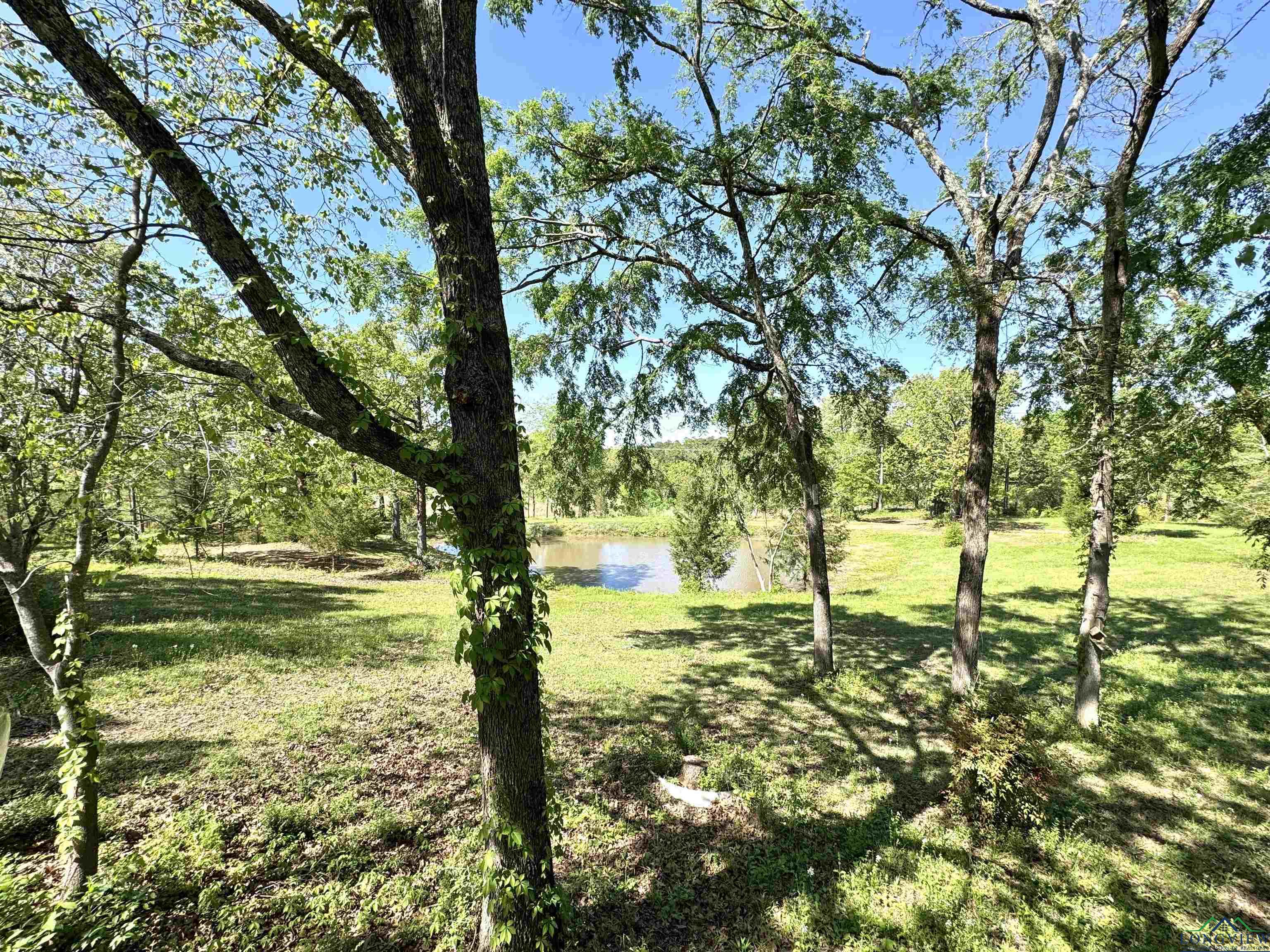 12151 N Fm 782, Henderson, Texas image 19
