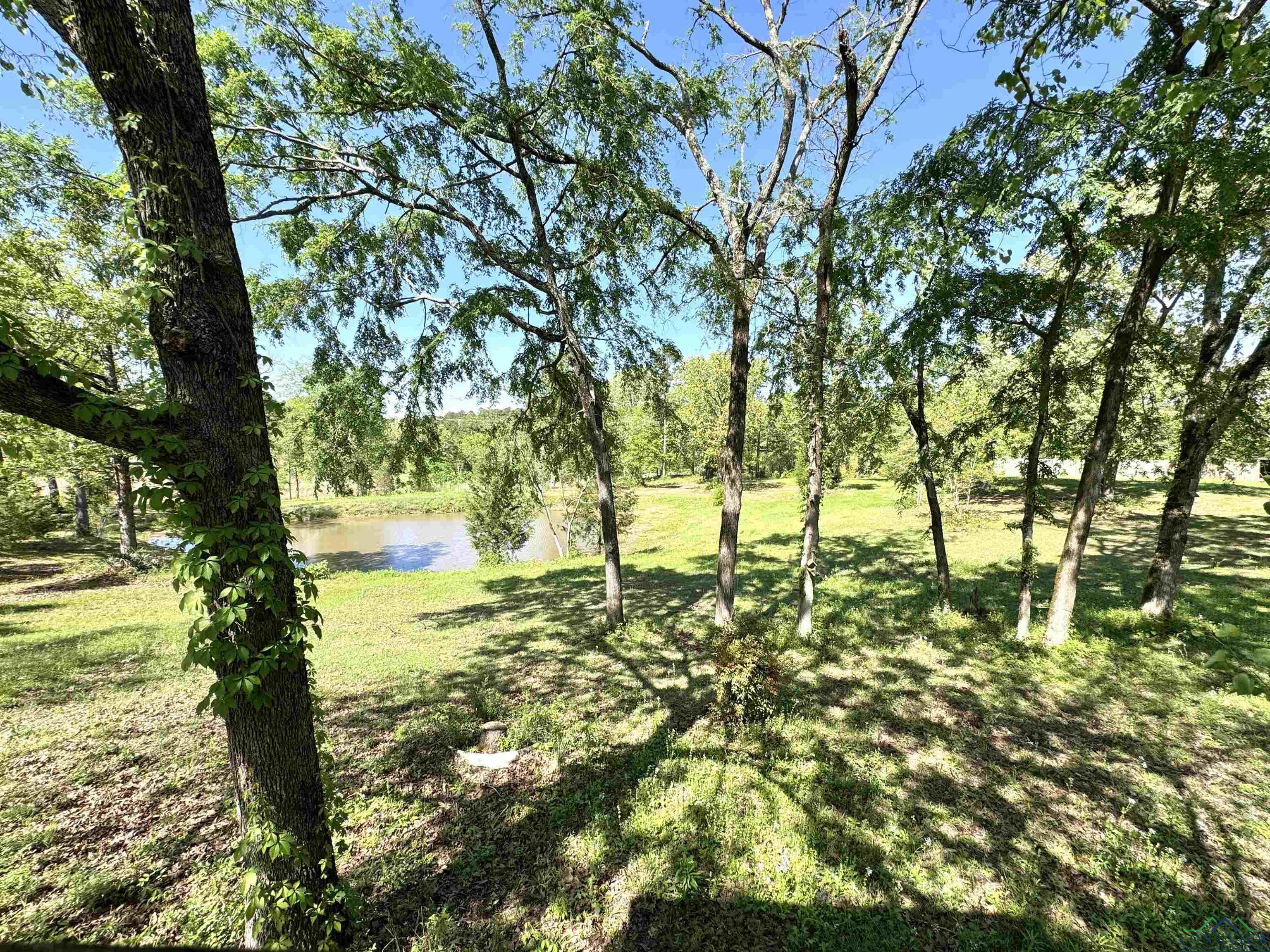 12151 N Fm 782, Henderson, Texas image 2