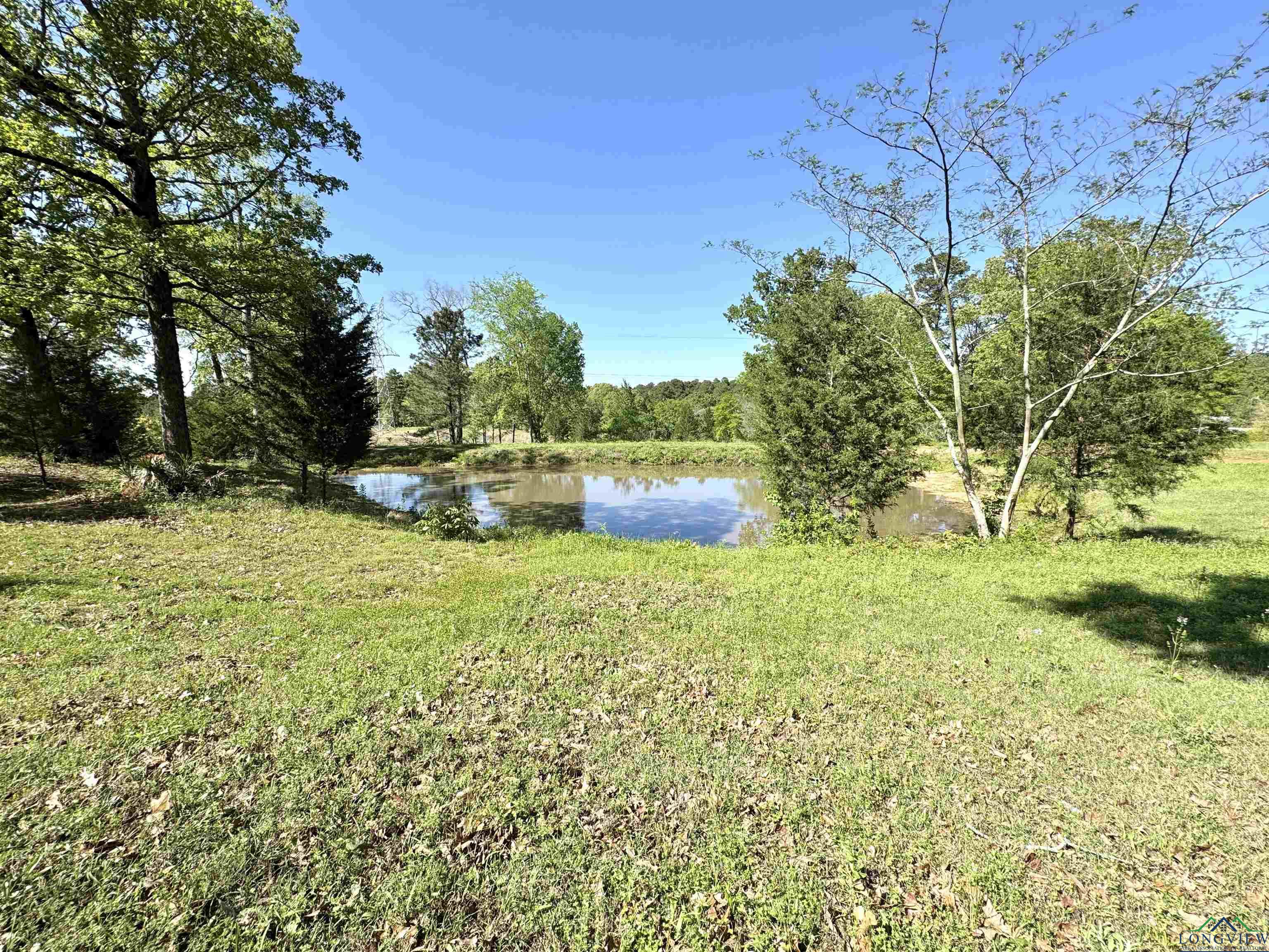 12151 N Fm 782, Henderson, Texas image 4