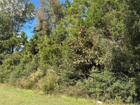 Vacant Land For Sale - TBD County Road 4682<br/> Panola County, Carthage, TX 75633