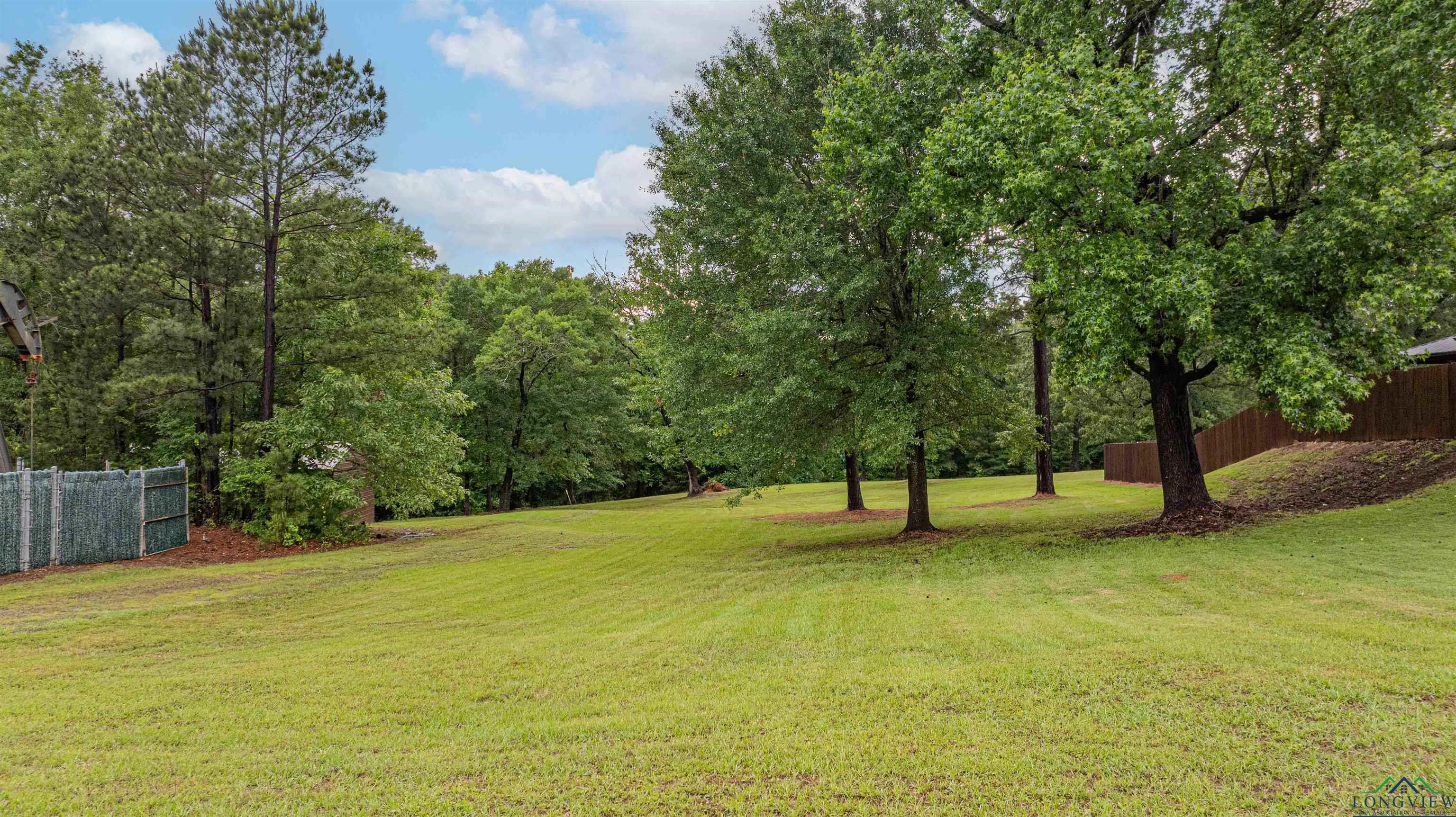 0000 Bull Run Trail, Longview, Texas image 4