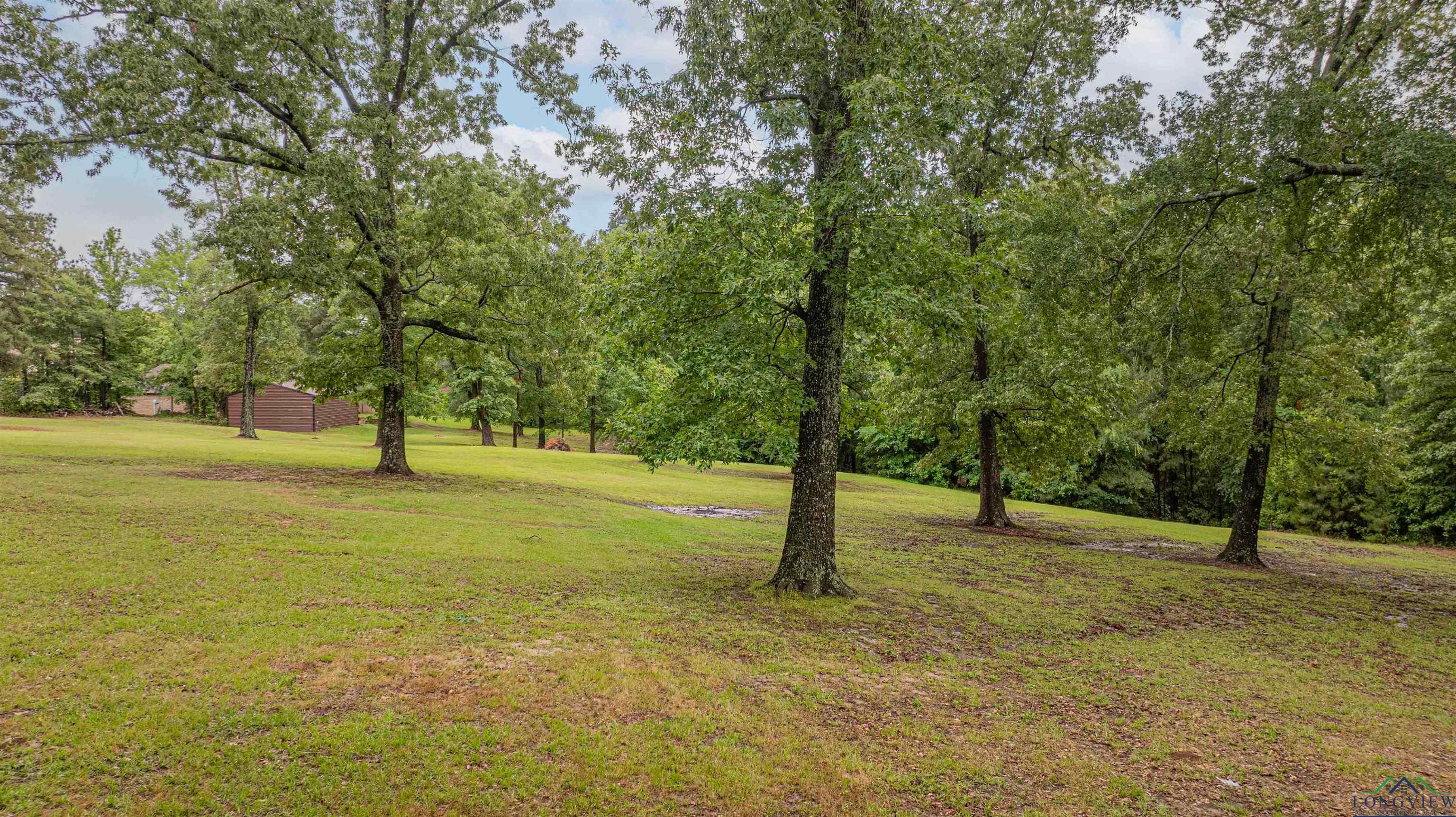 0000 Bull Run Trail, Longview, Texas image 8