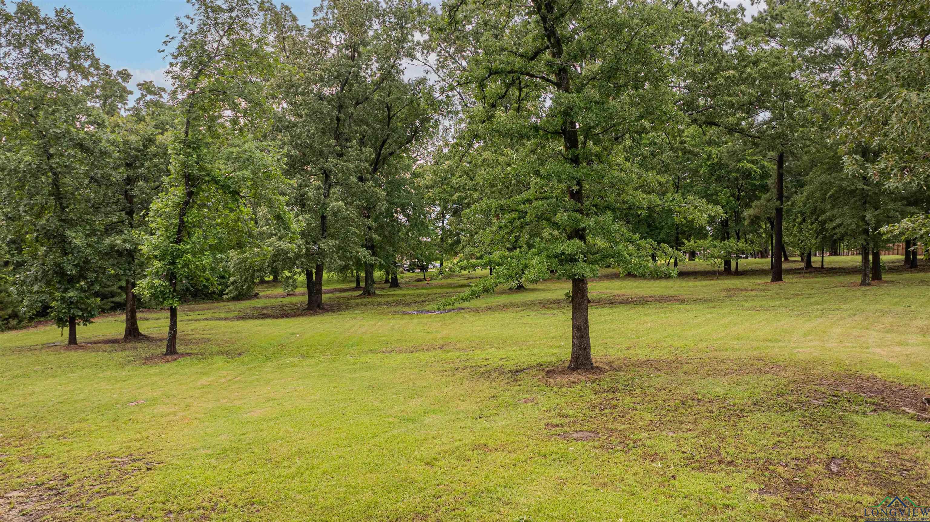 0000 Bull Run Trail, Longview, Texas image 6